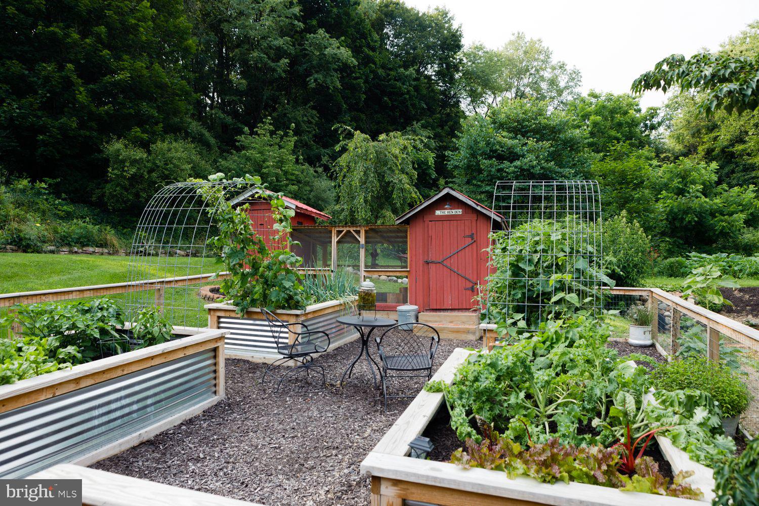 20 ACRE WOODS - Farm