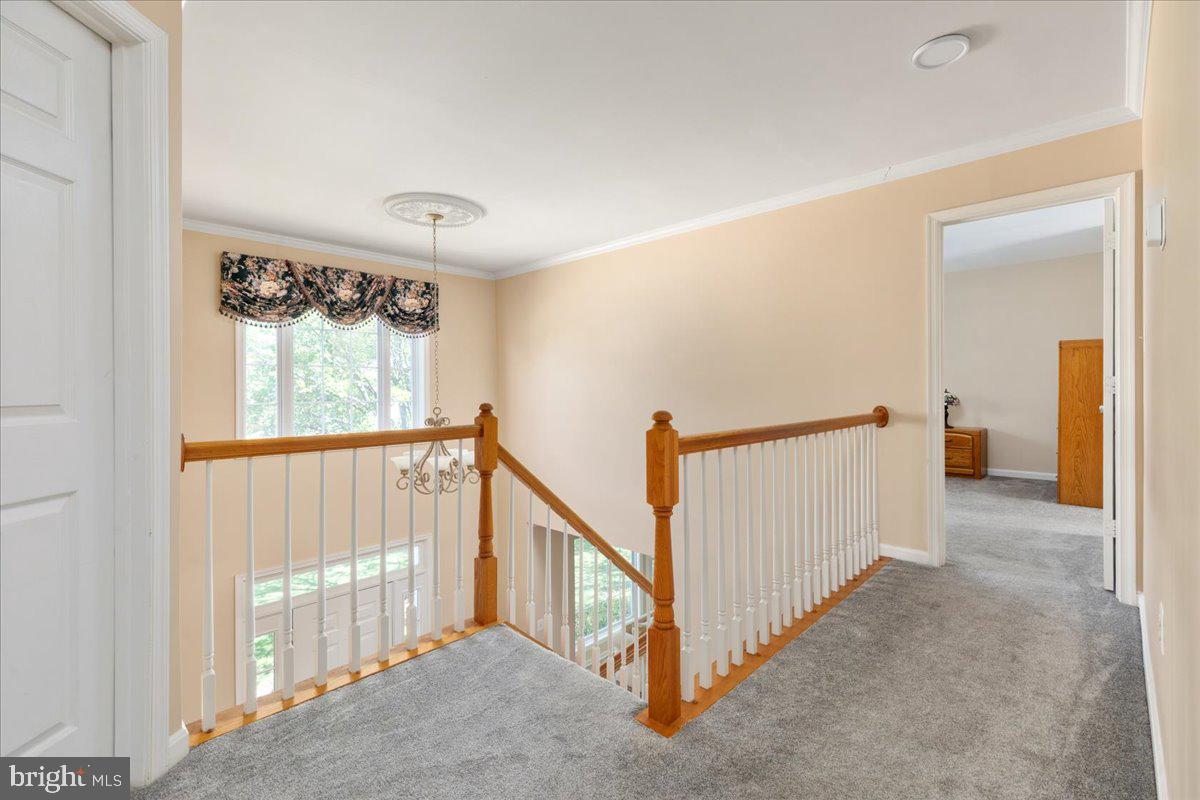 BRIDLEWOOD - Residential