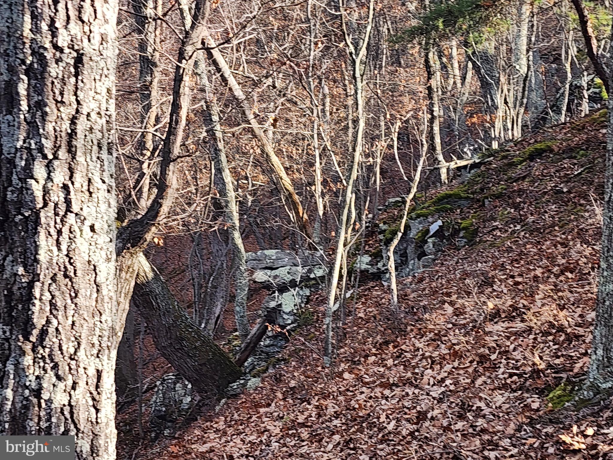 ASHTON WOODS - Land