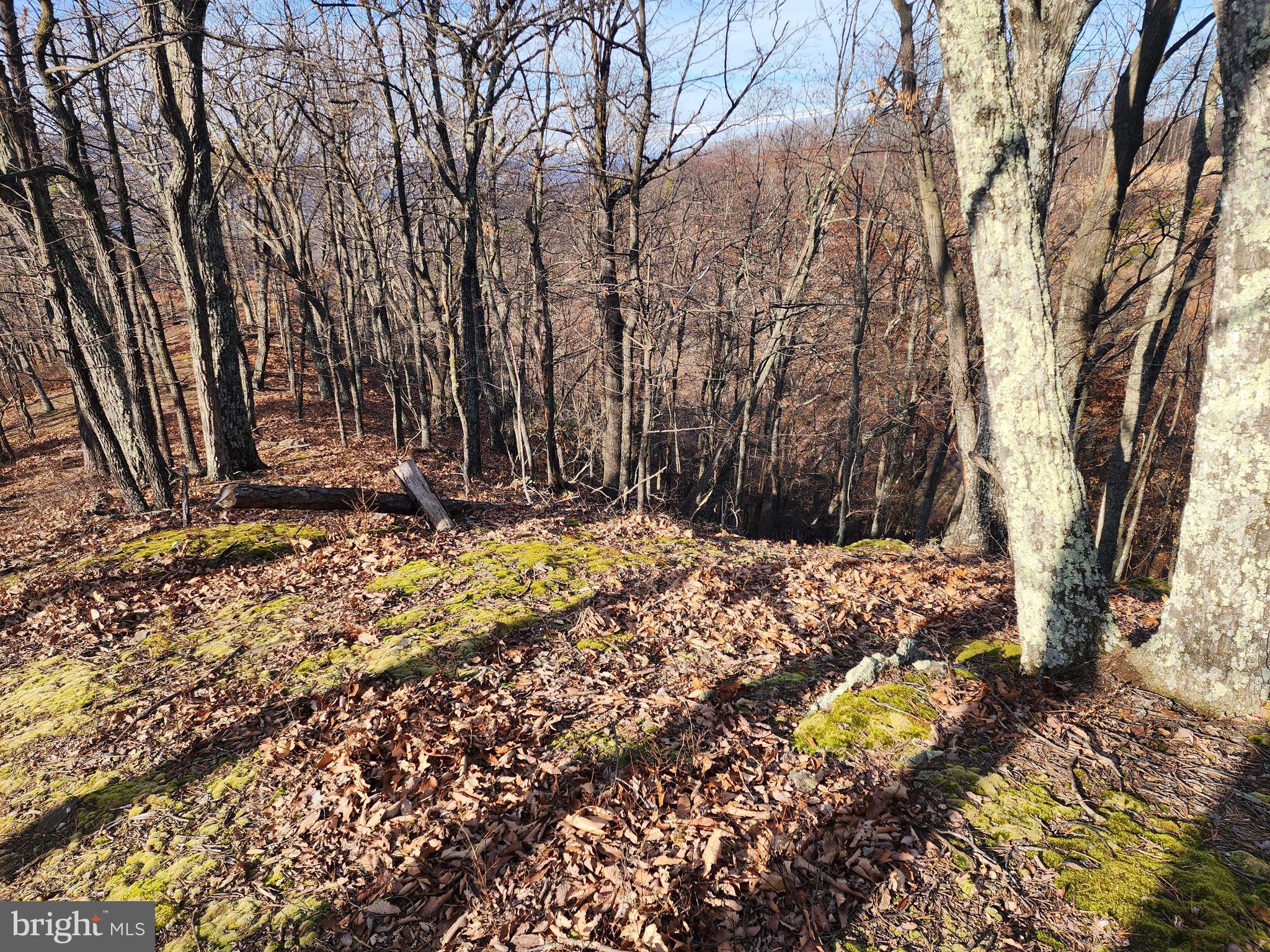 ASHTON WOODS - Land