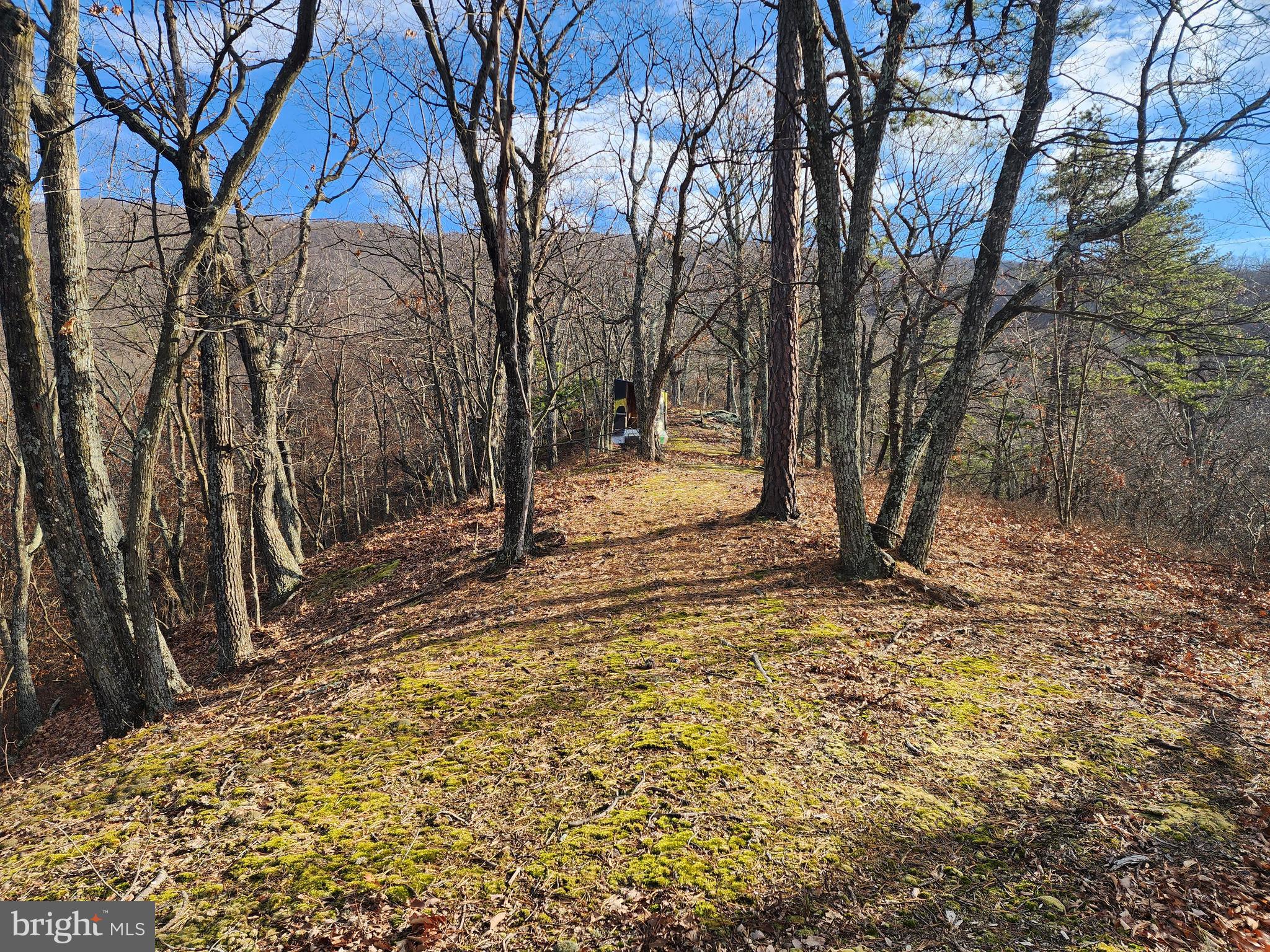 ASHTON WOODS - Land