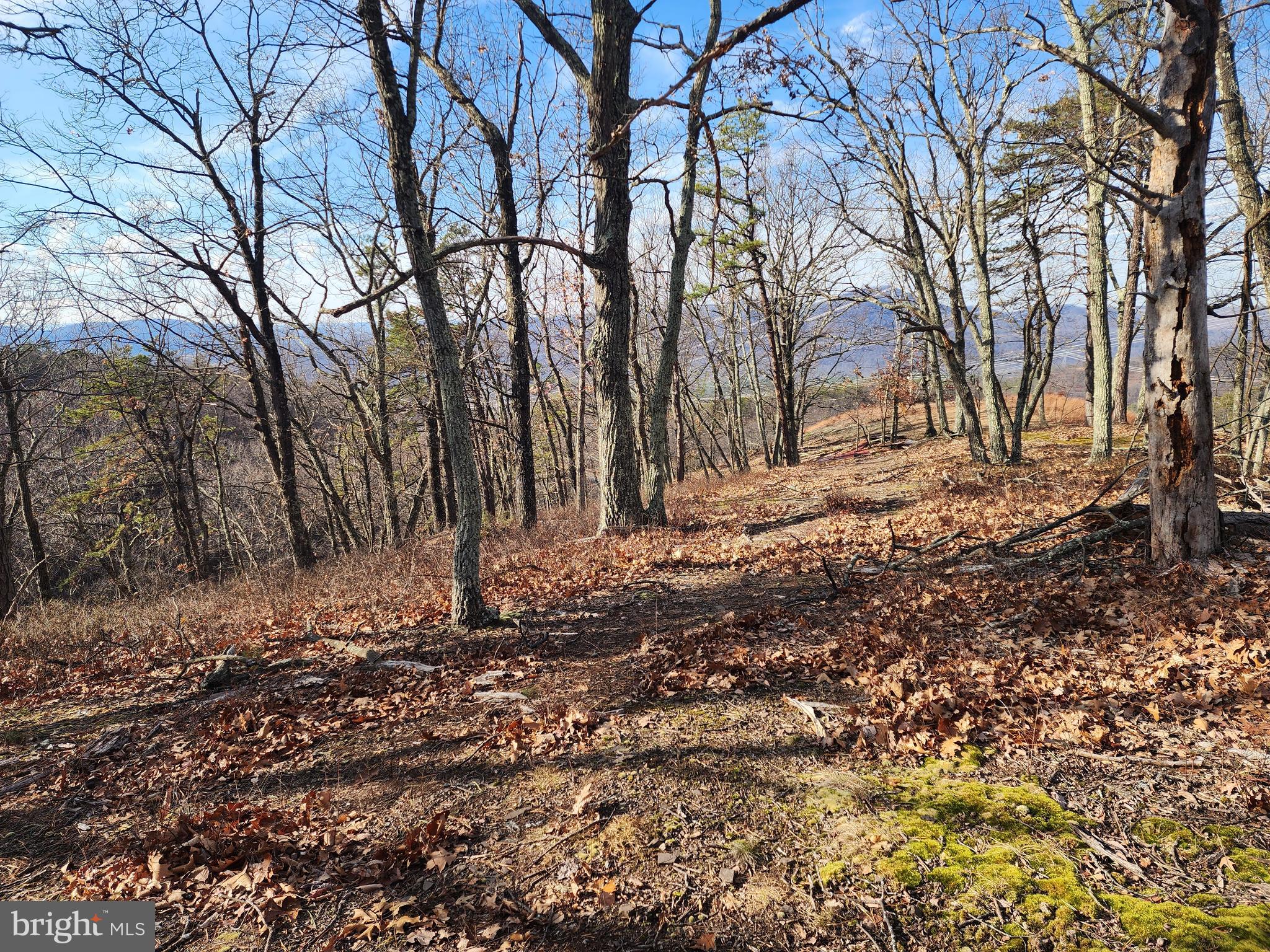 ASHTON WOODS - Land