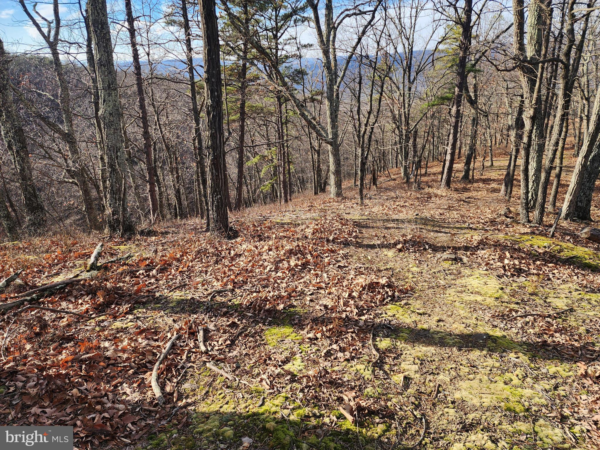 ASHTON WOODS - Land