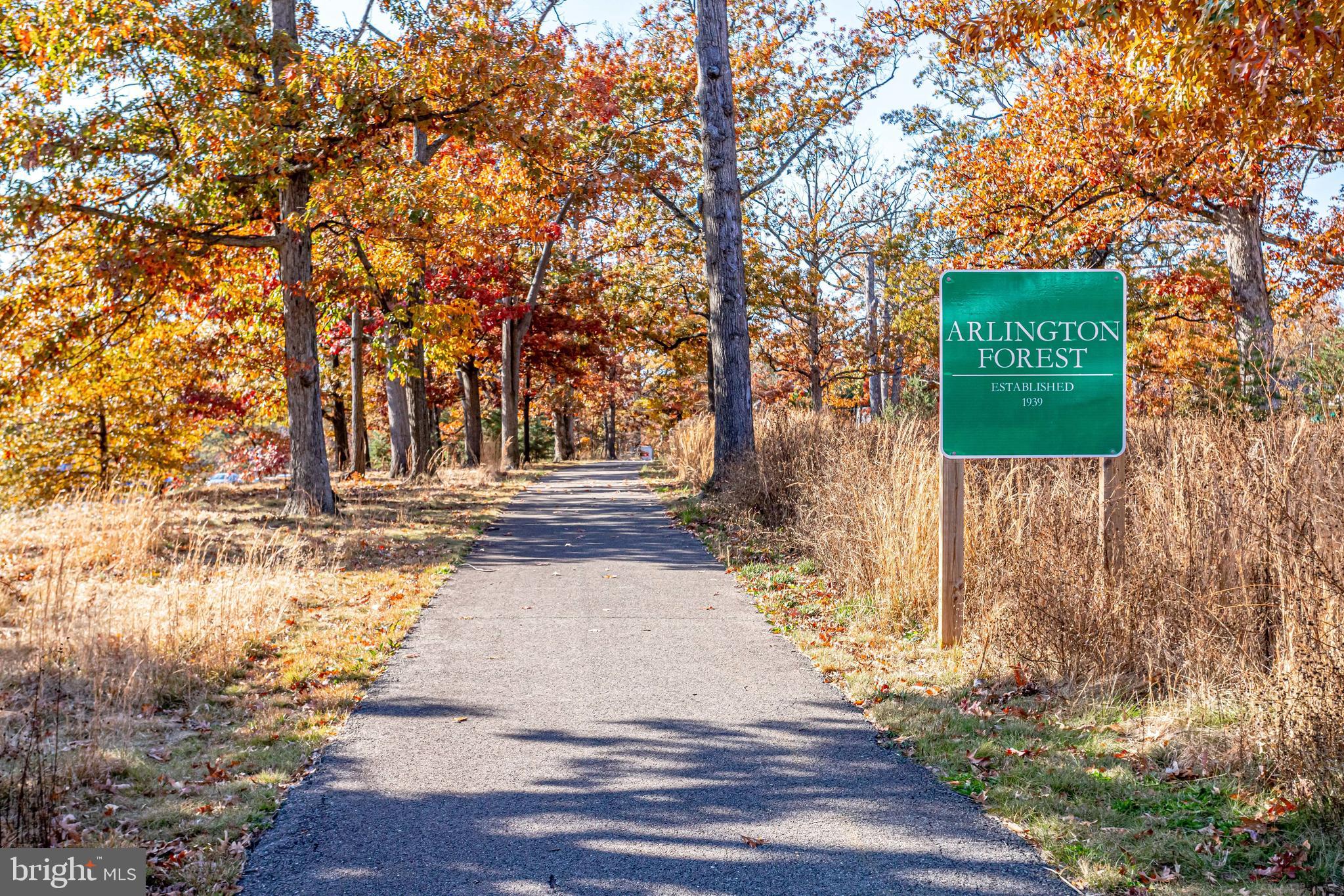 ARLINGTON FOREST - Residential Lease