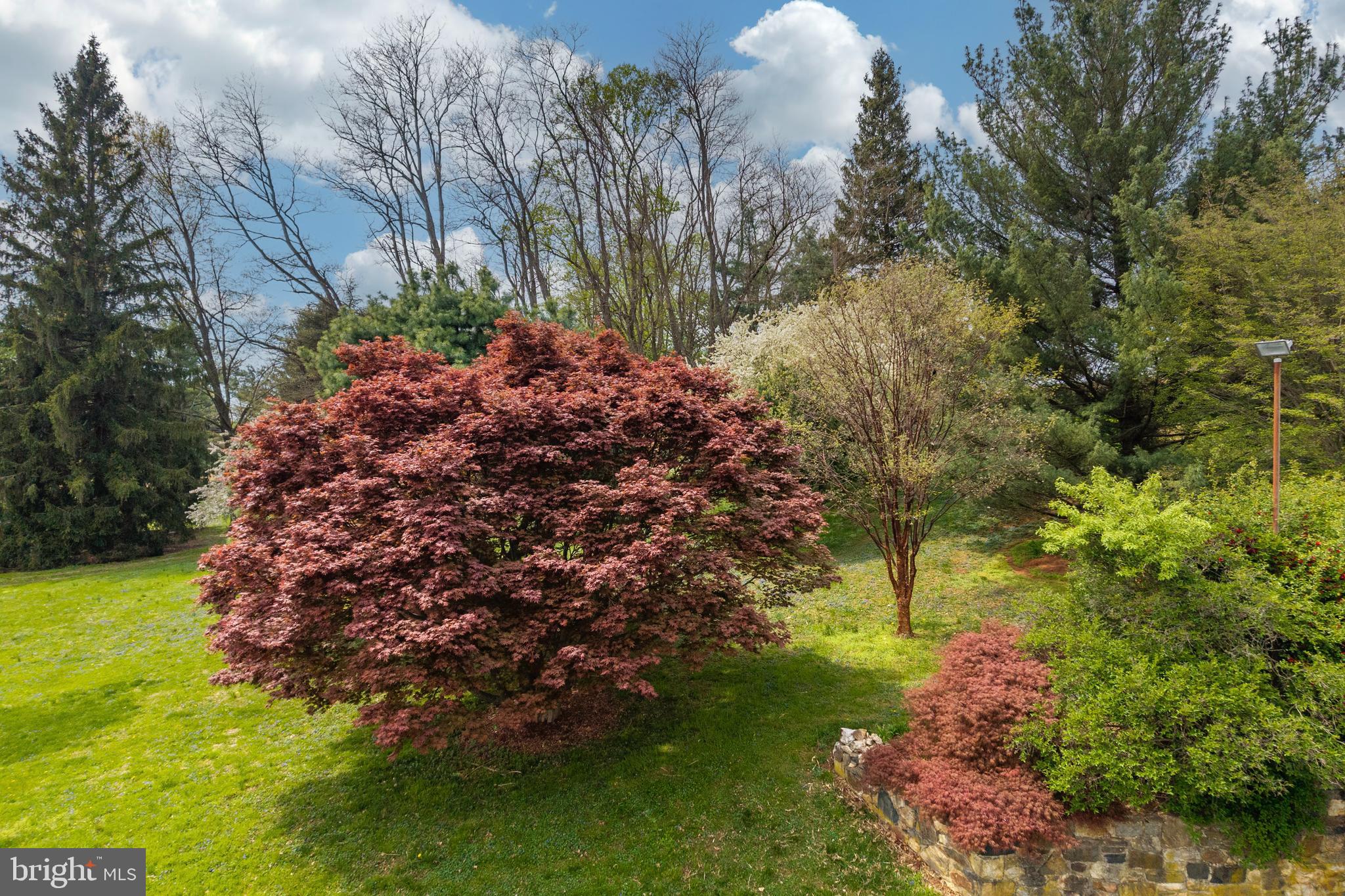 CHESHIRE HUNT - Residential