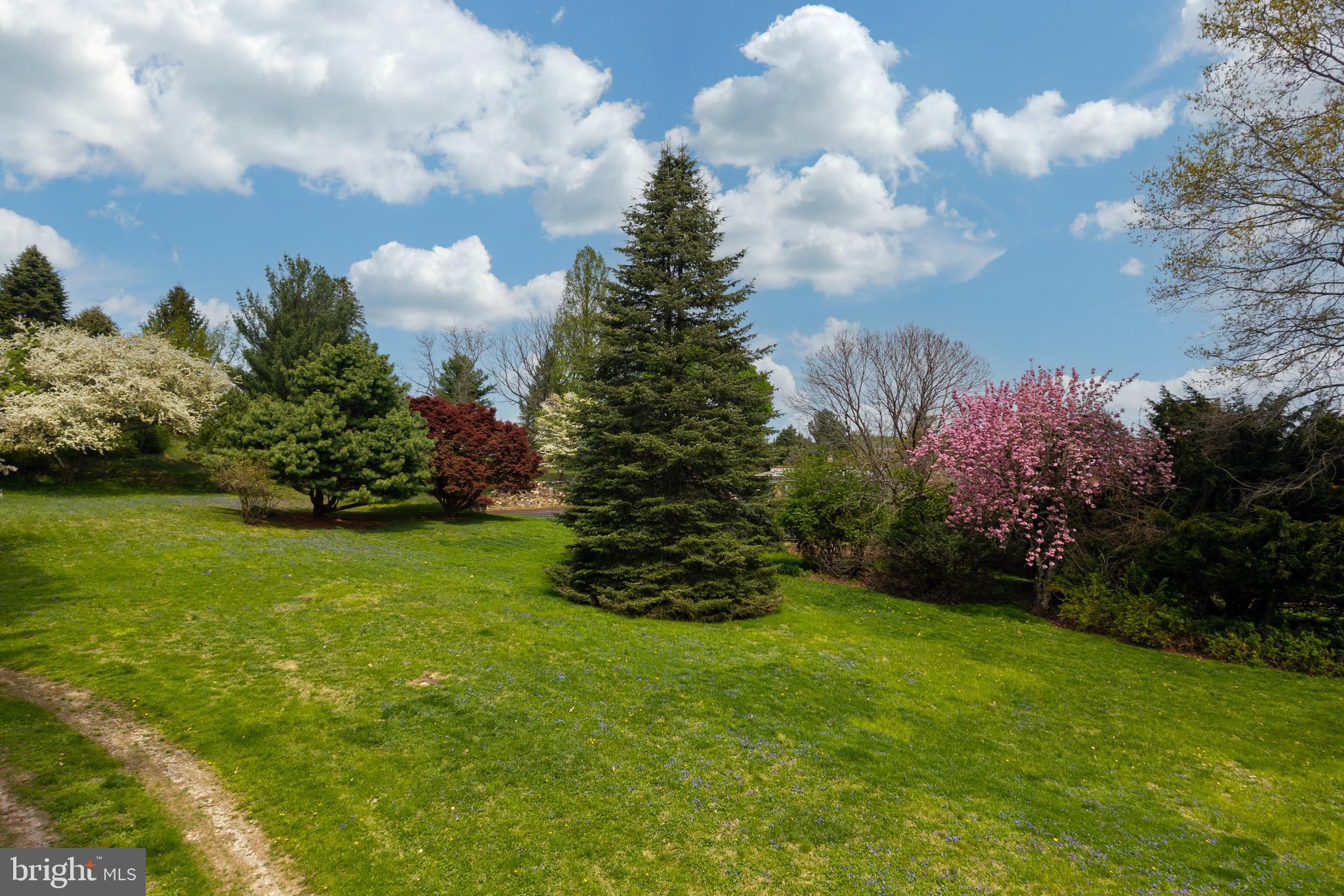 CHESHIRE HUNT - Residential
