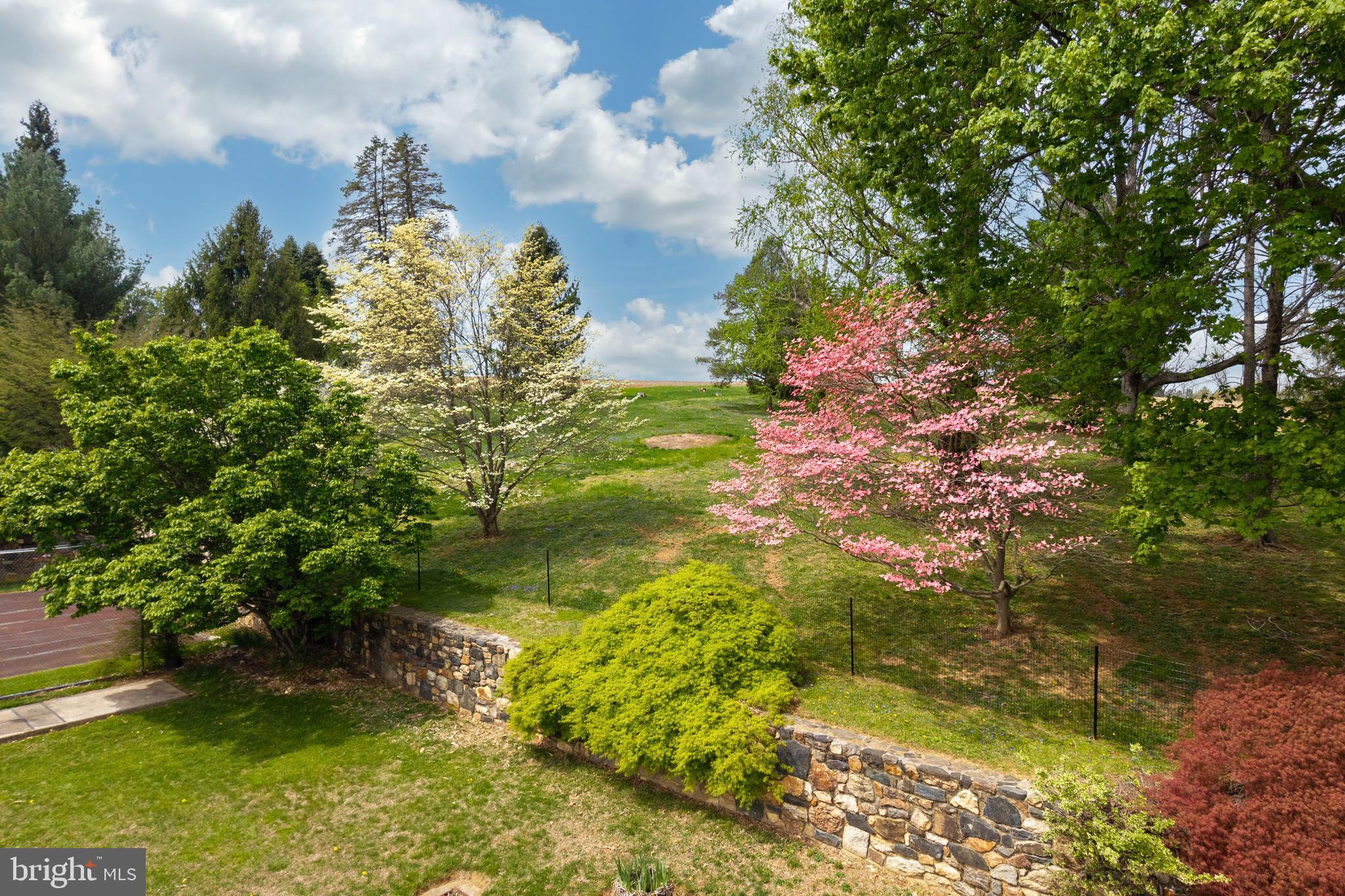 CHESHIRE HUNT - Residential