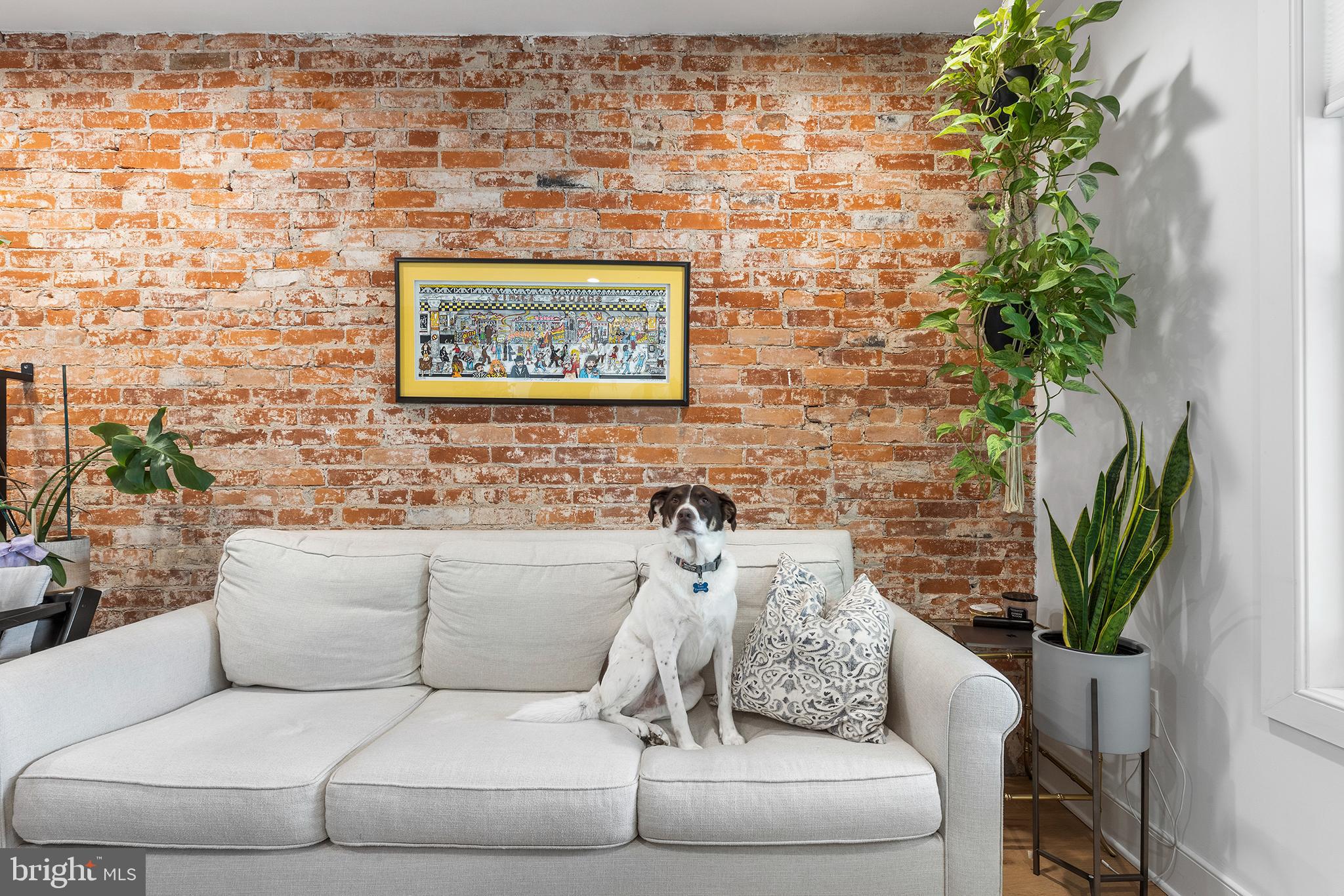 WALNUT HILL - Residential