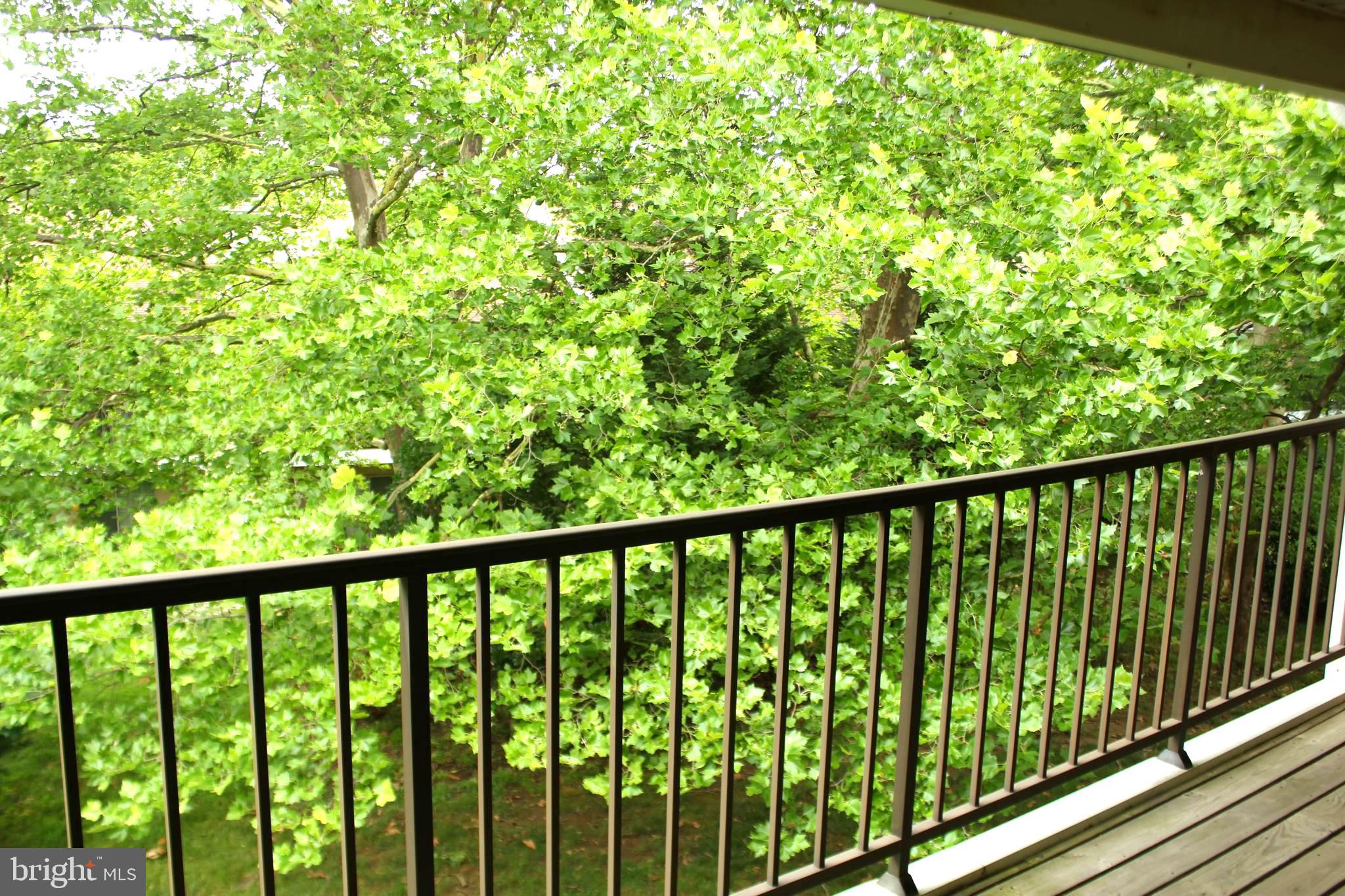CHESTERBROOK - Residential