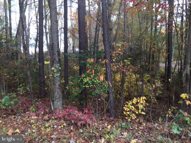 Perfect lot to build your new home! Perked for 3 bedroom conventional septic system this .30 acre lot is priced to sell!