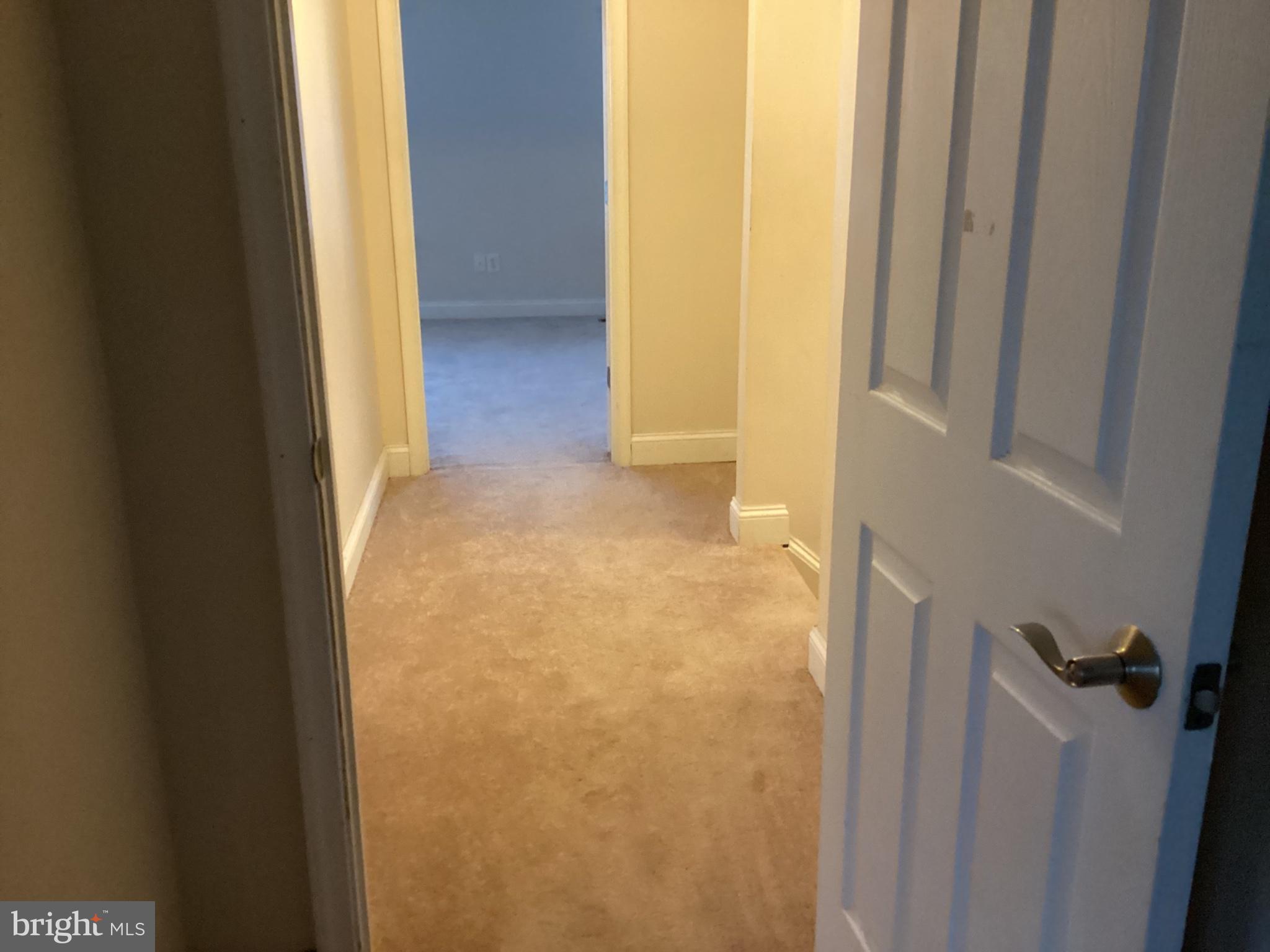 PINTAIL LANDING - Residential