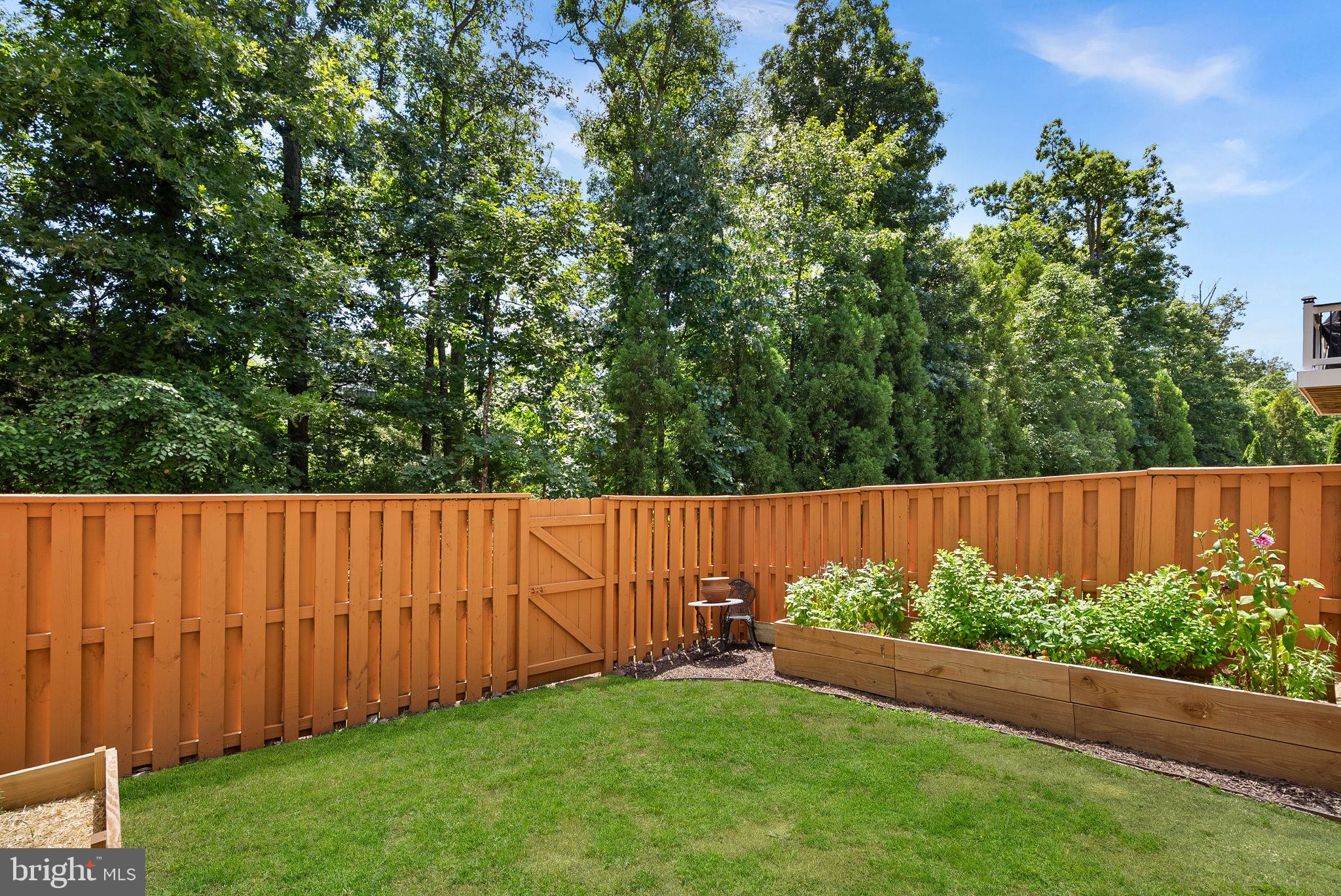 BELMONT TRACE - Residential