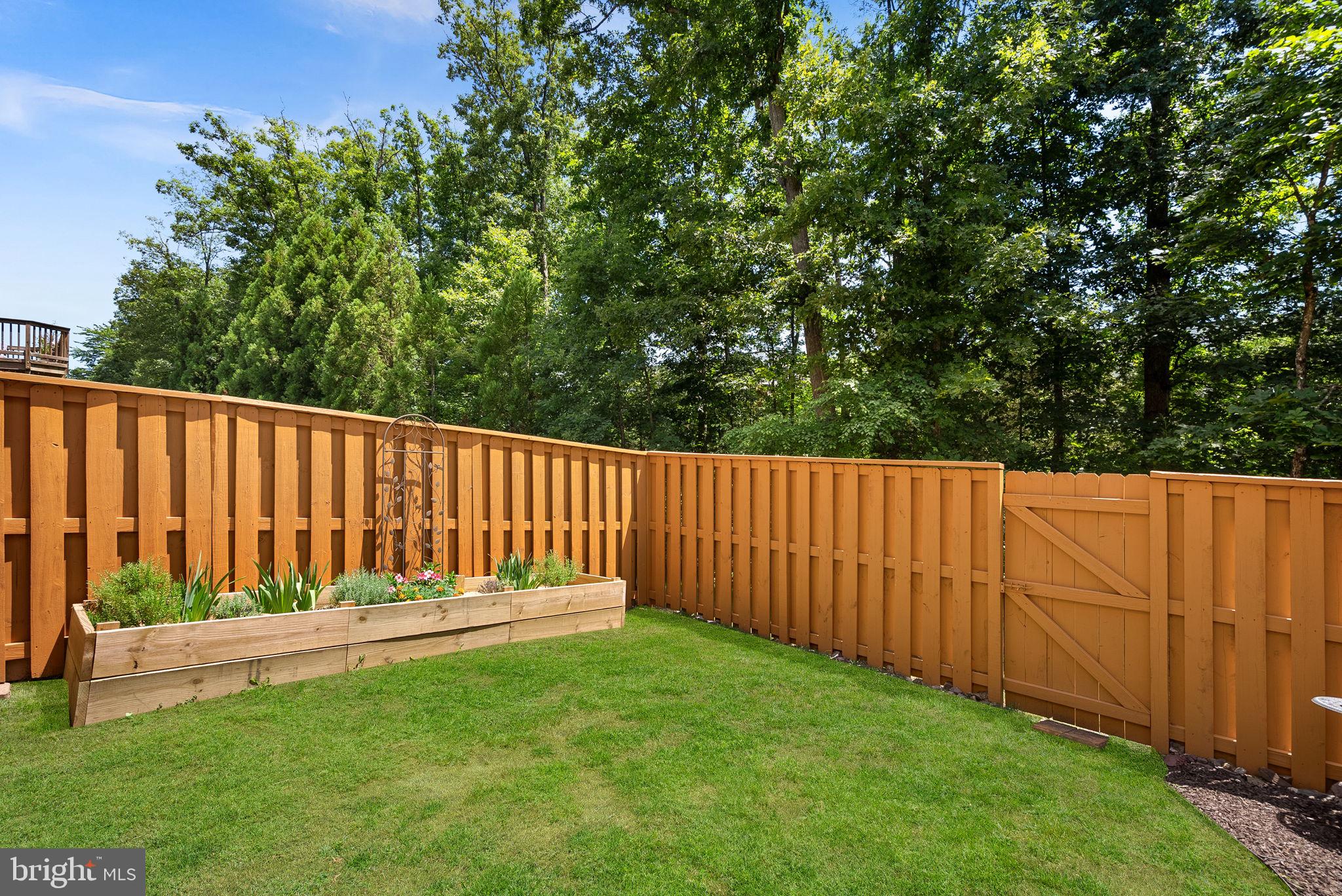 BELMONT TRACE - Residential