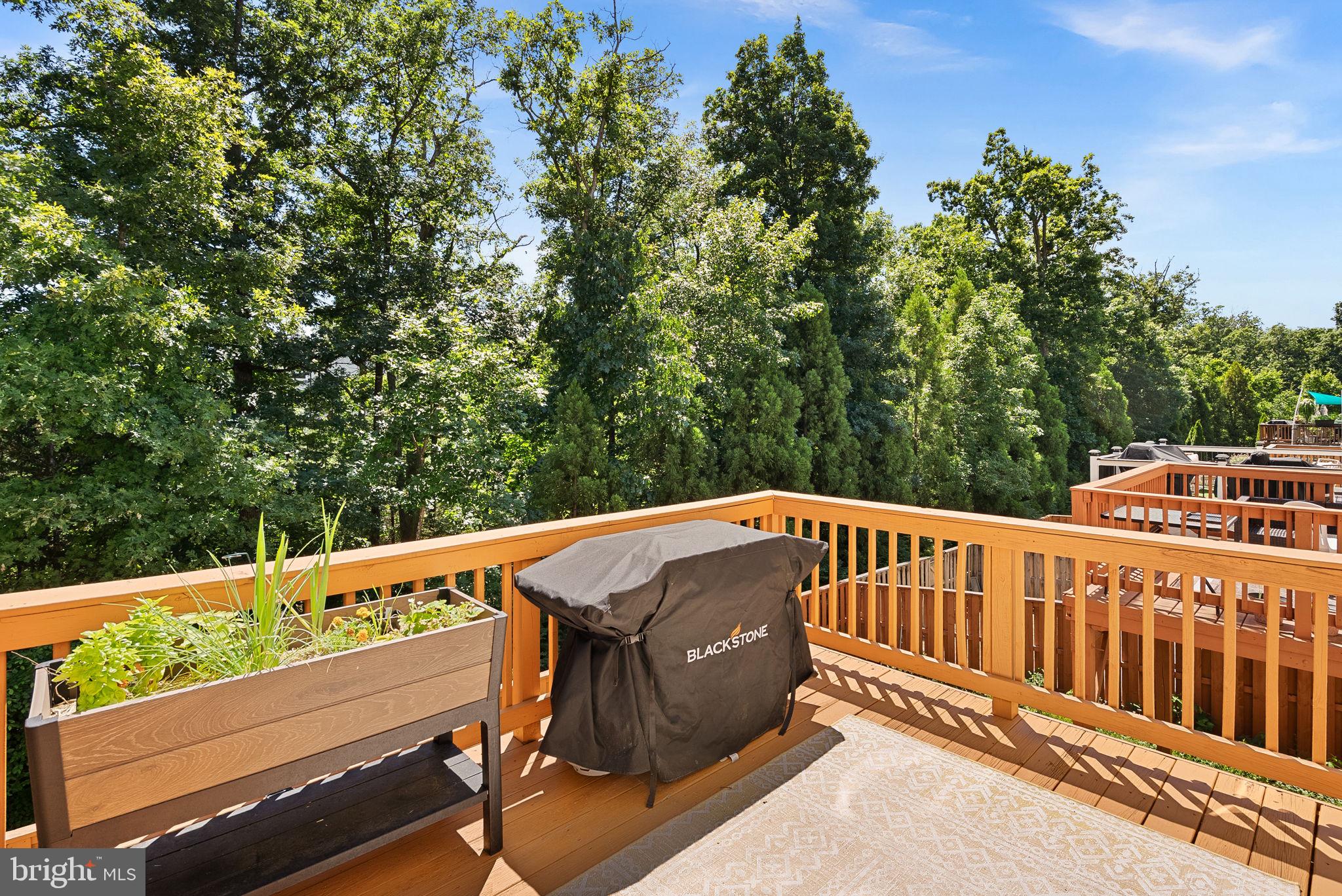 BELMONT TRACE - Residential