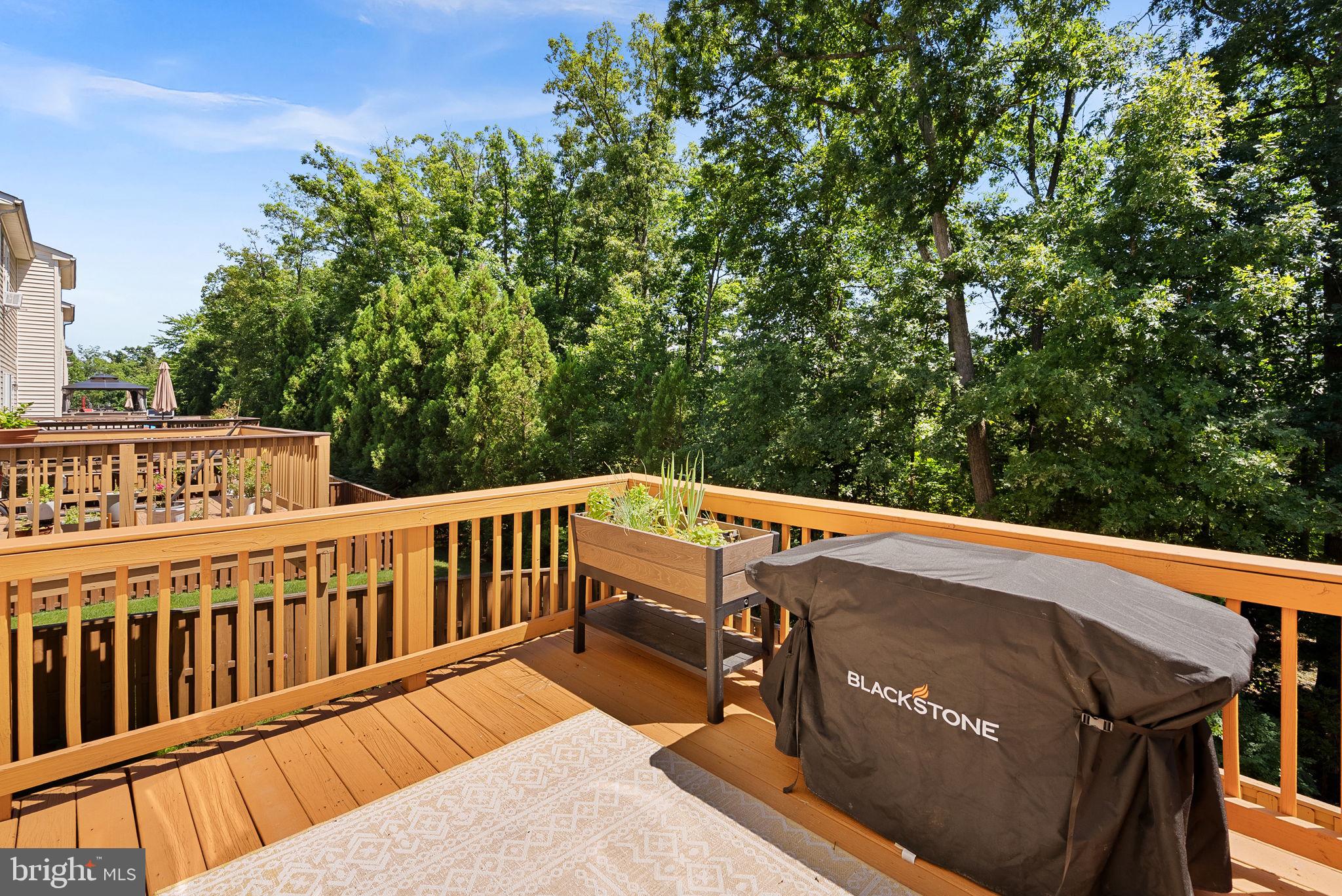 BELMONT TRACE - Residential
