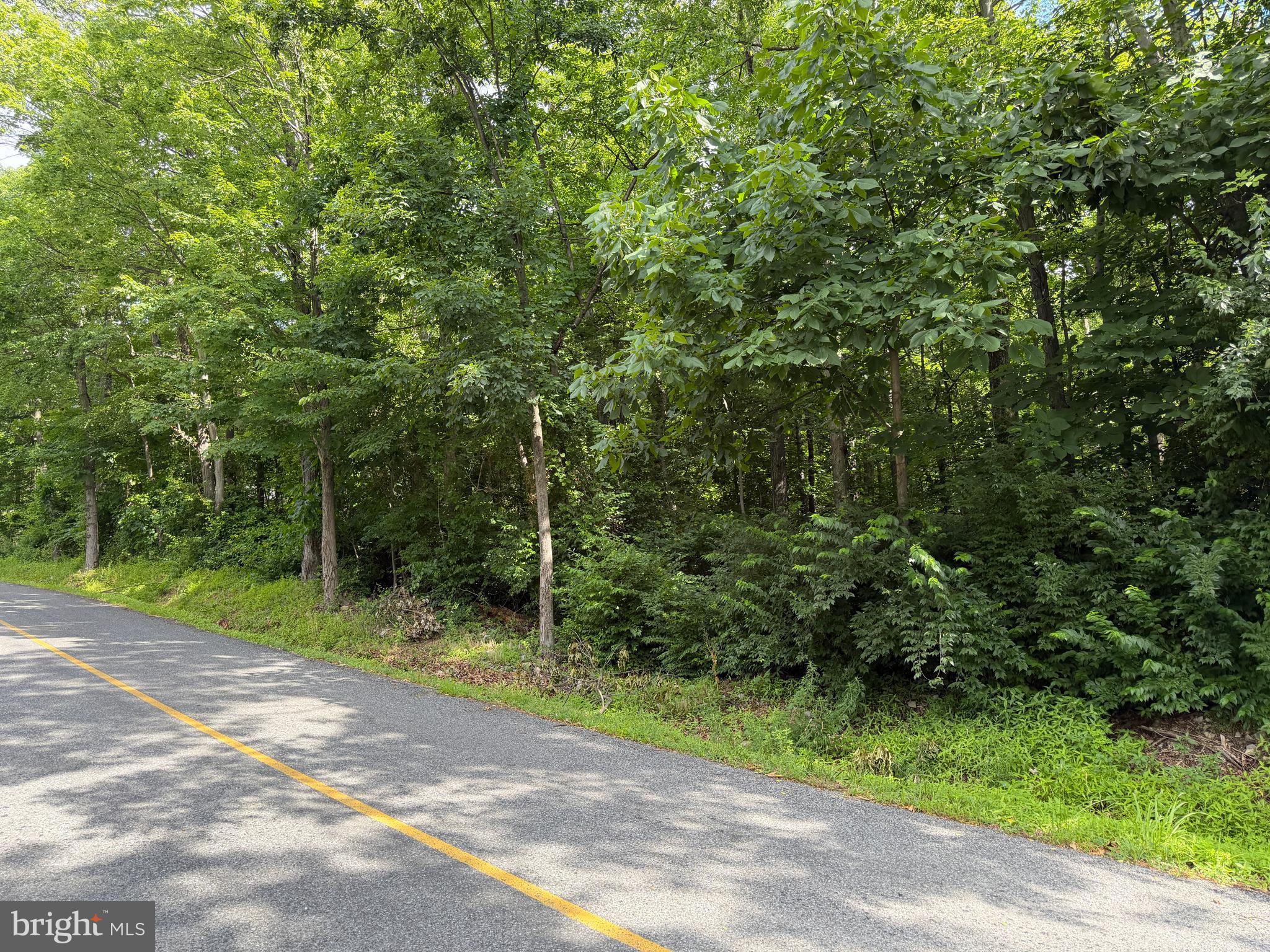 BEAUTIFUL 0.59± ACRES OF VACANT WOODED LAND! This attractive parcel offers ample road frontage along Circle Drive and features a peaceful wooded setting with excellent potential. The property would make for a beautiful homesite, offering privacy and a scenic country atmosphere while remaining conveniently located just minutes from Route 30, Chambersburg, St. Thomas, and surrounding amenities. Community water and sewer are available, with the buyer responsible for all connection fees and associated costs. Buyer is responsible for conducting their own due diligence regarding building suitability, permitting, and intended use. A great opportunity to own a beautiful piece of land in a desirable location!

This property will be offered at auction on Thursday, August 6, 2026, at 3:00 PM. The list price in no way represents a minimum, starting, or acceptable bid.

This property will be offered in a multi-parcel auction, giving buyers the flexibility to purchase Tract 1, Tract 2, or both tracts. Tract 1: 56+/- Acres with a spacious home and outbuildings, Tract 2: .59+/- Acres vacant land, would make for a beautiful home site.