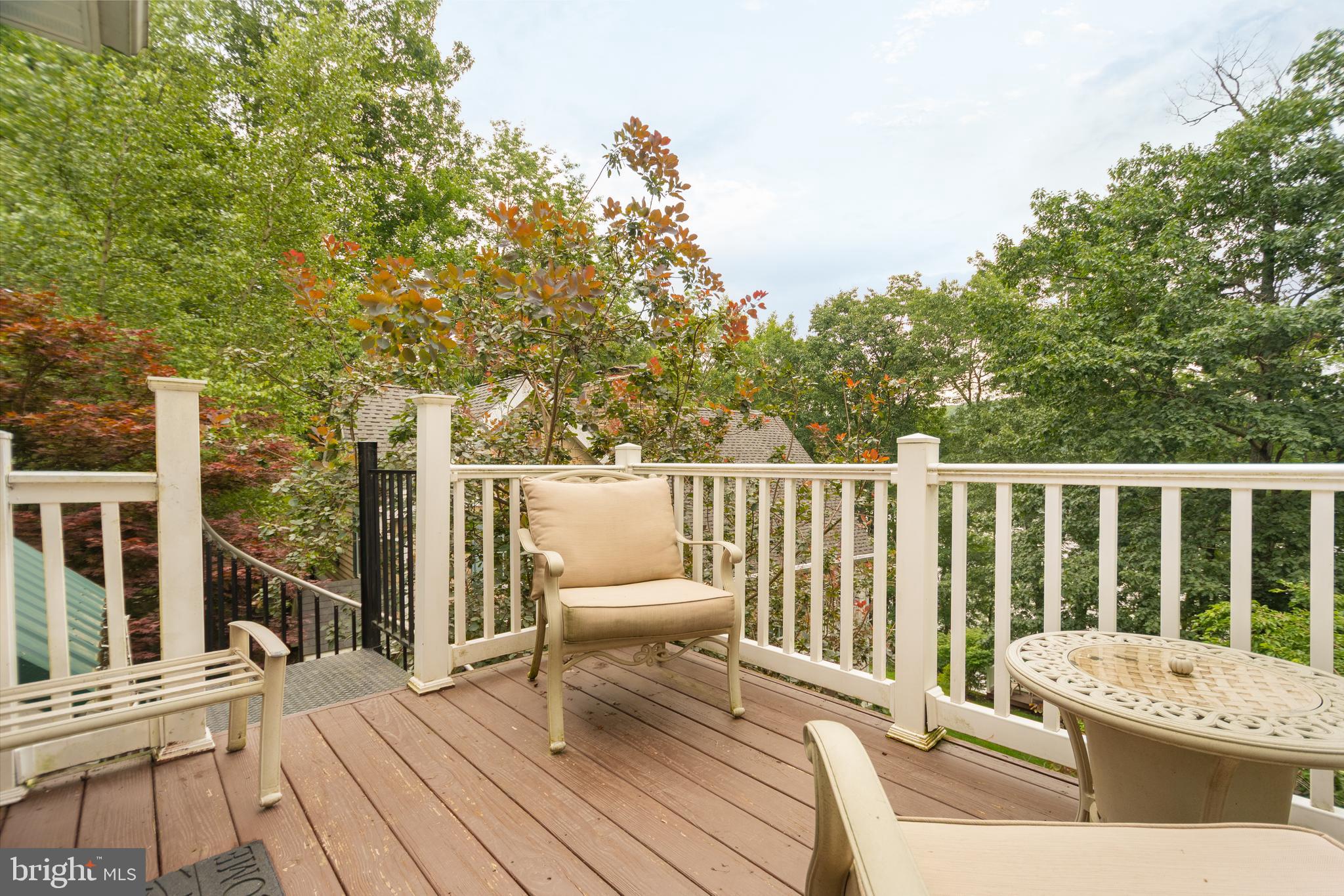 SHINGLE CAMP TERRACE - Residential