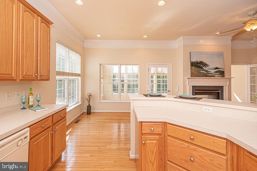 OCEAN PINES - THE PARKE - Residential