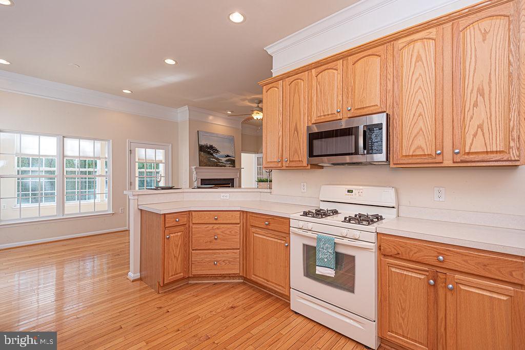 OCEAN PINES - THE PARKE - Residential