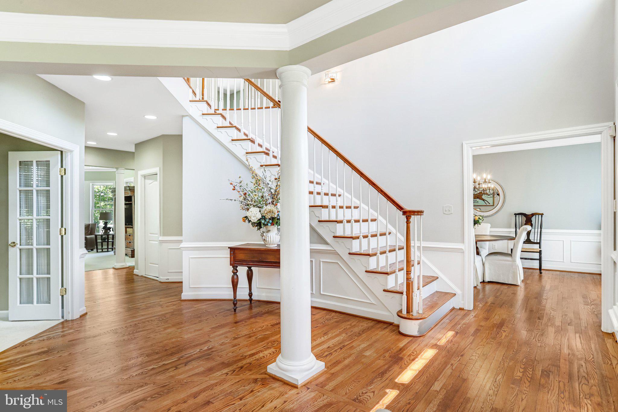 POTOMAC FALLS - Residential