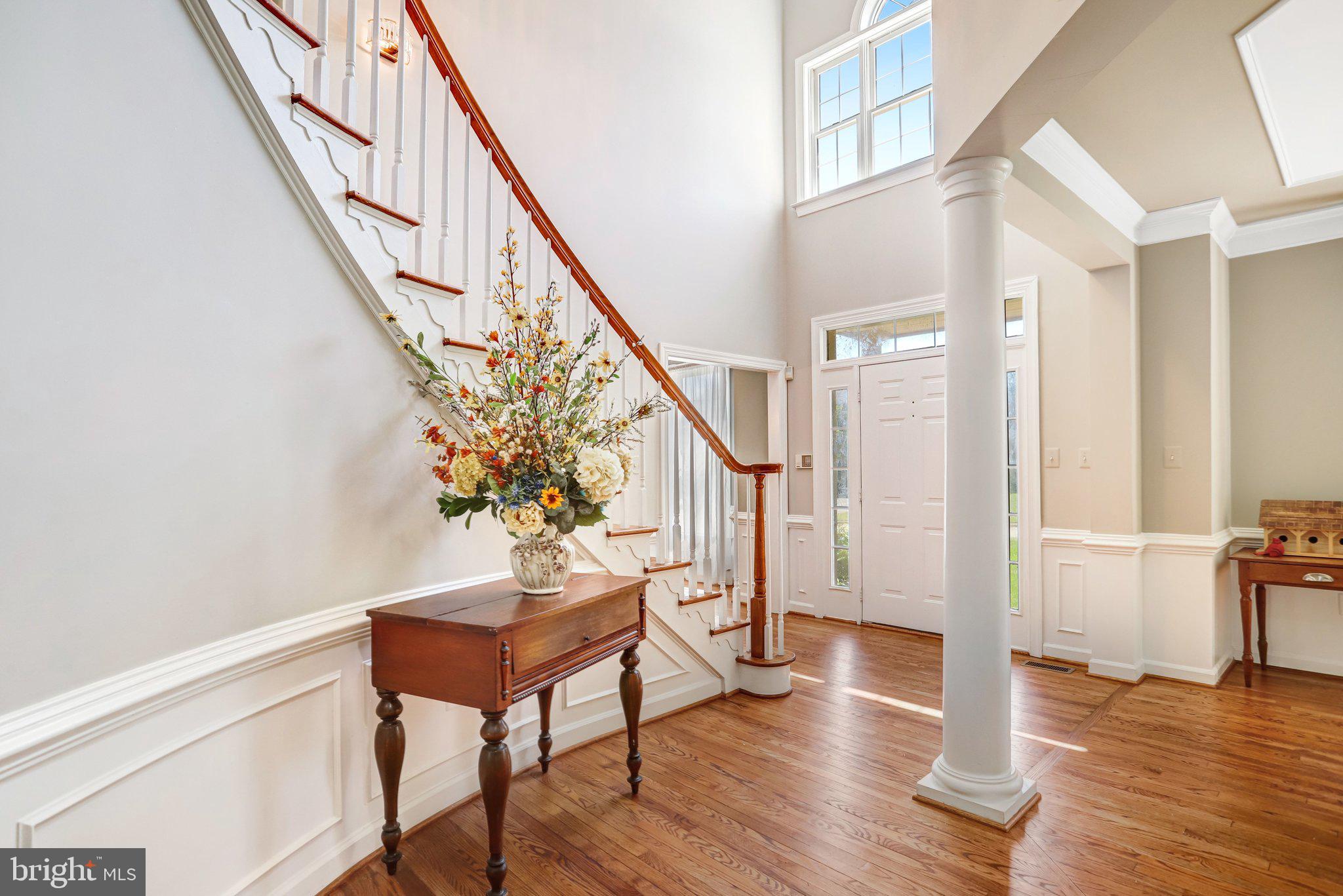 POTOMAC FALLS - Residential
