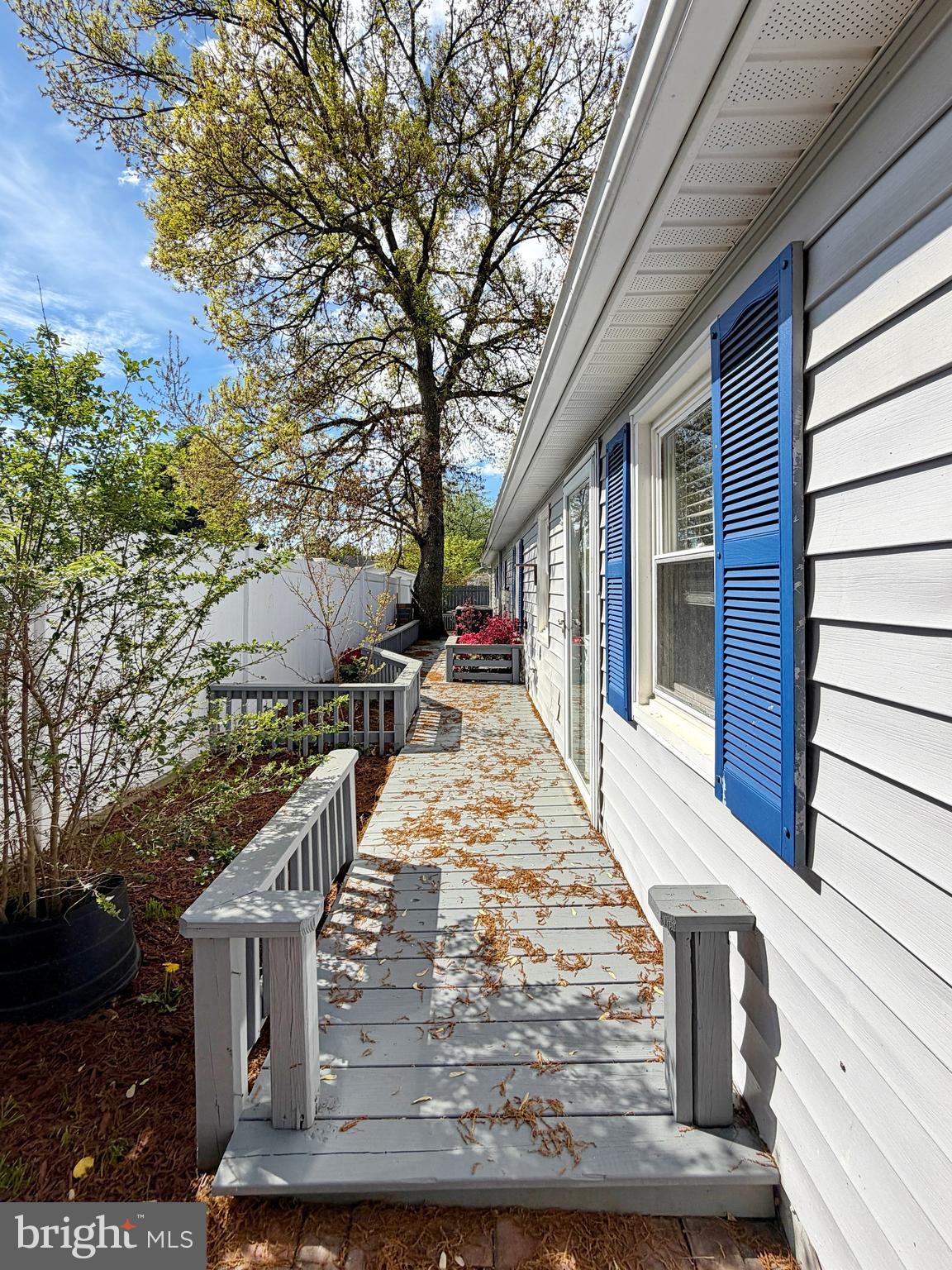 DENT - Residential