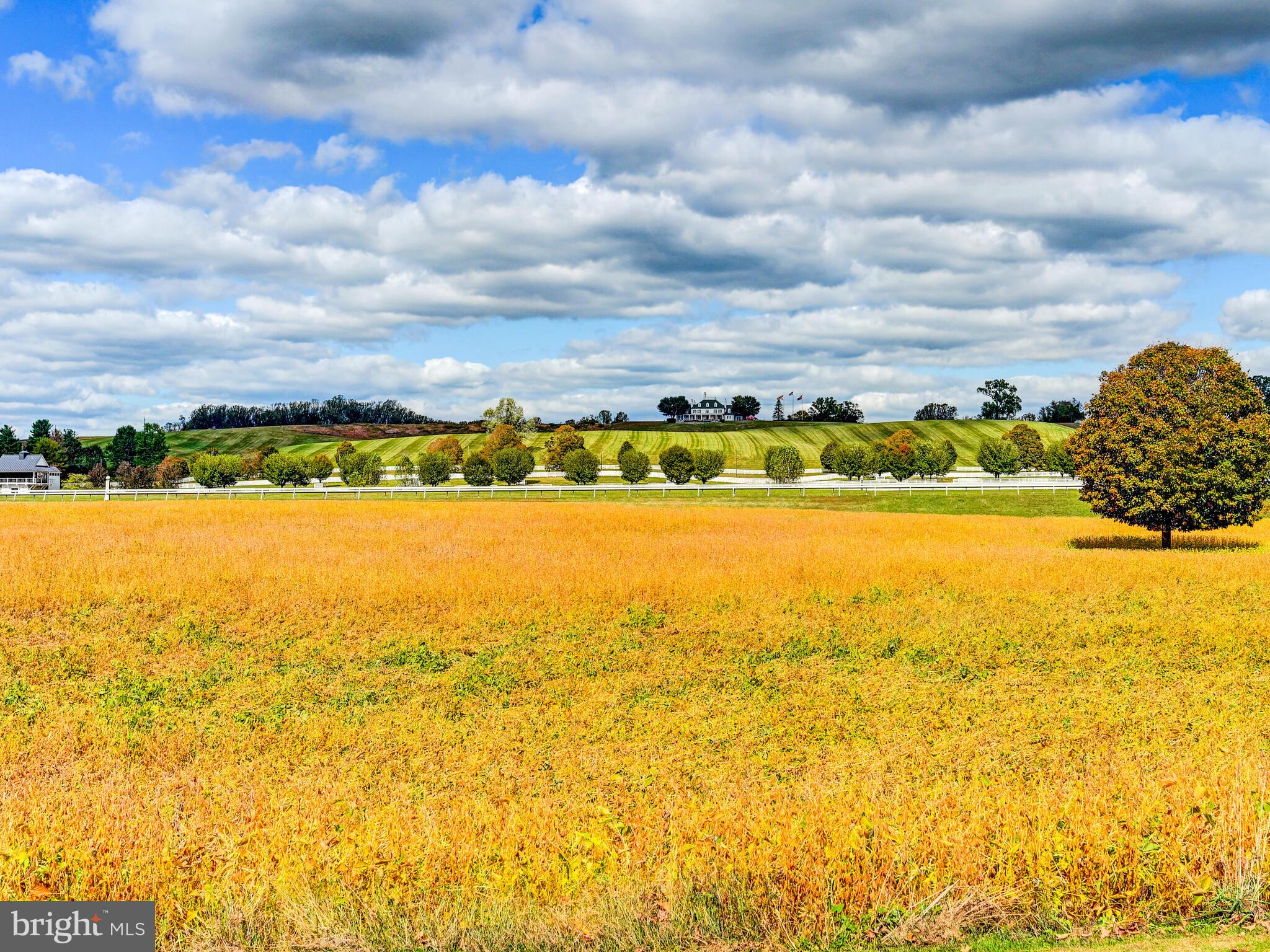 WORTHINGTON VALLEY - Residential