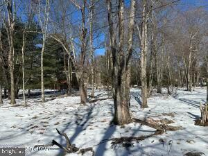 LAKE HARMONY ESTATES - Land