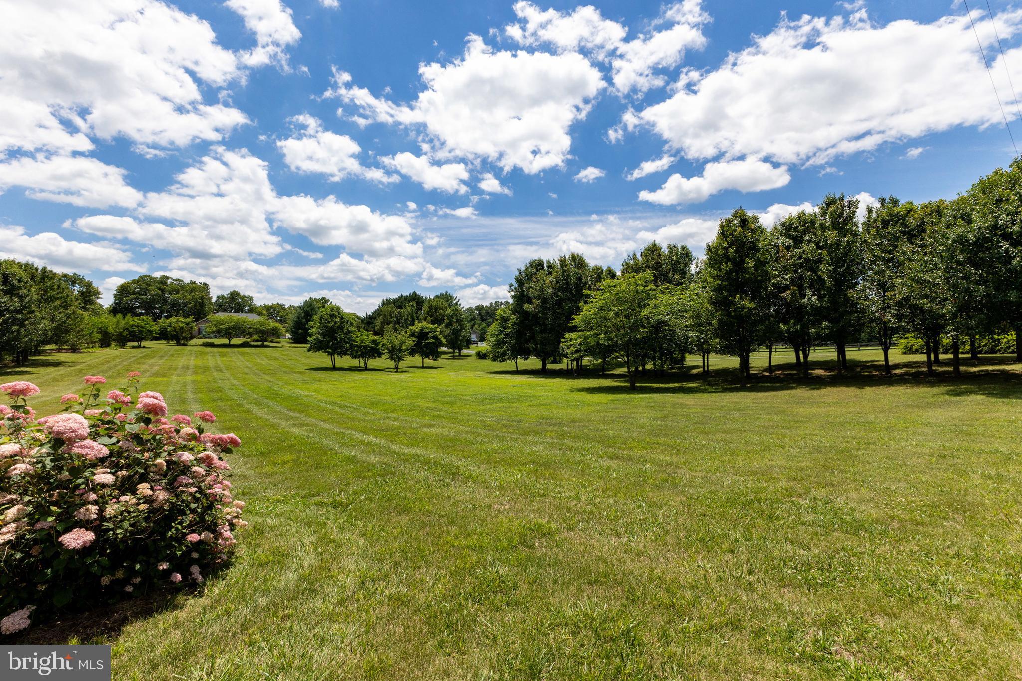 PARKVIEW ESTATES - Residential