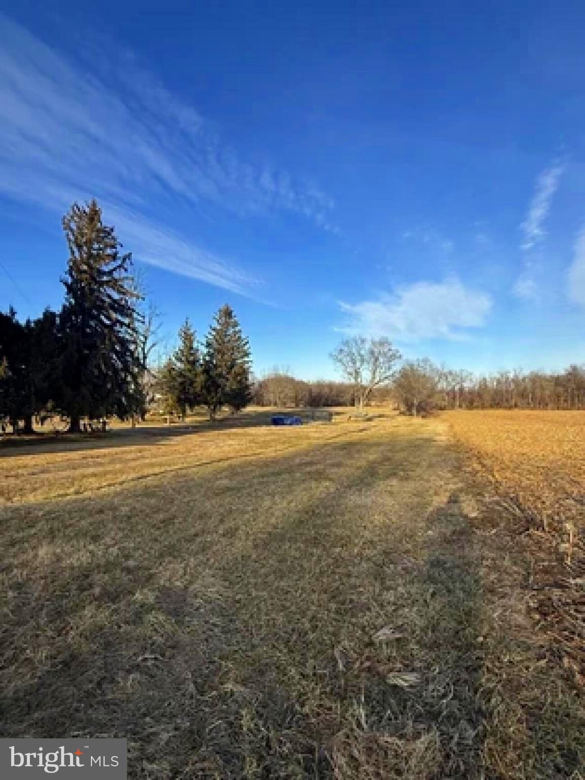 NONE AVAILABLE - Farm