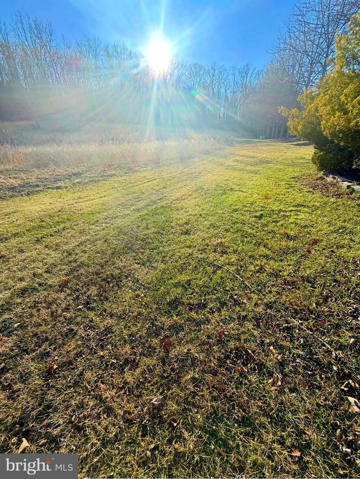 Build your dream home on this spacious 3+ acre lot. It's nestled amongst the McKenzie Farm subdivision outside of city limits but still provides convenience just minutes away.  You're sure to feel the wonders of Mother Nature with the incredible mountainous views and trees surrounding.  The lot is cleared, has water, electric and perc test available.