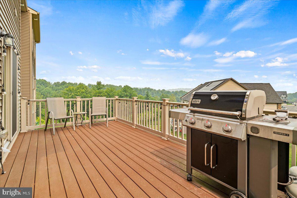 LAKE LINGANORE EAGLEHEAD - Residential