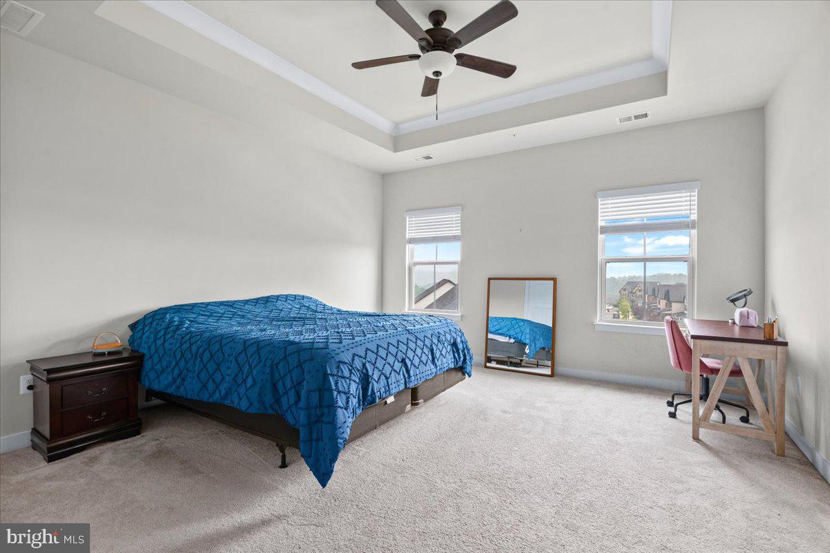 LAKE LINGANORE EAGLEHEAD - Residential