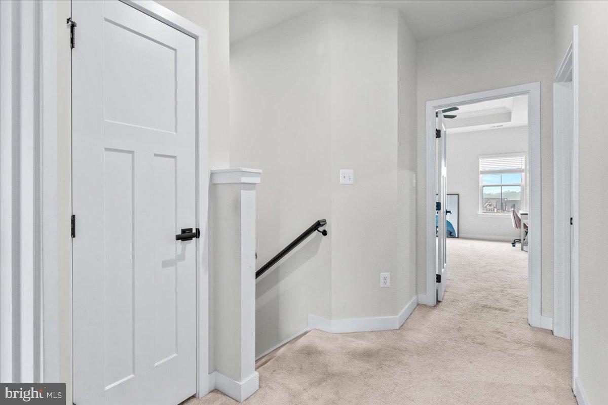 LAKE LINGANORE EAGLEHEAD - Residential