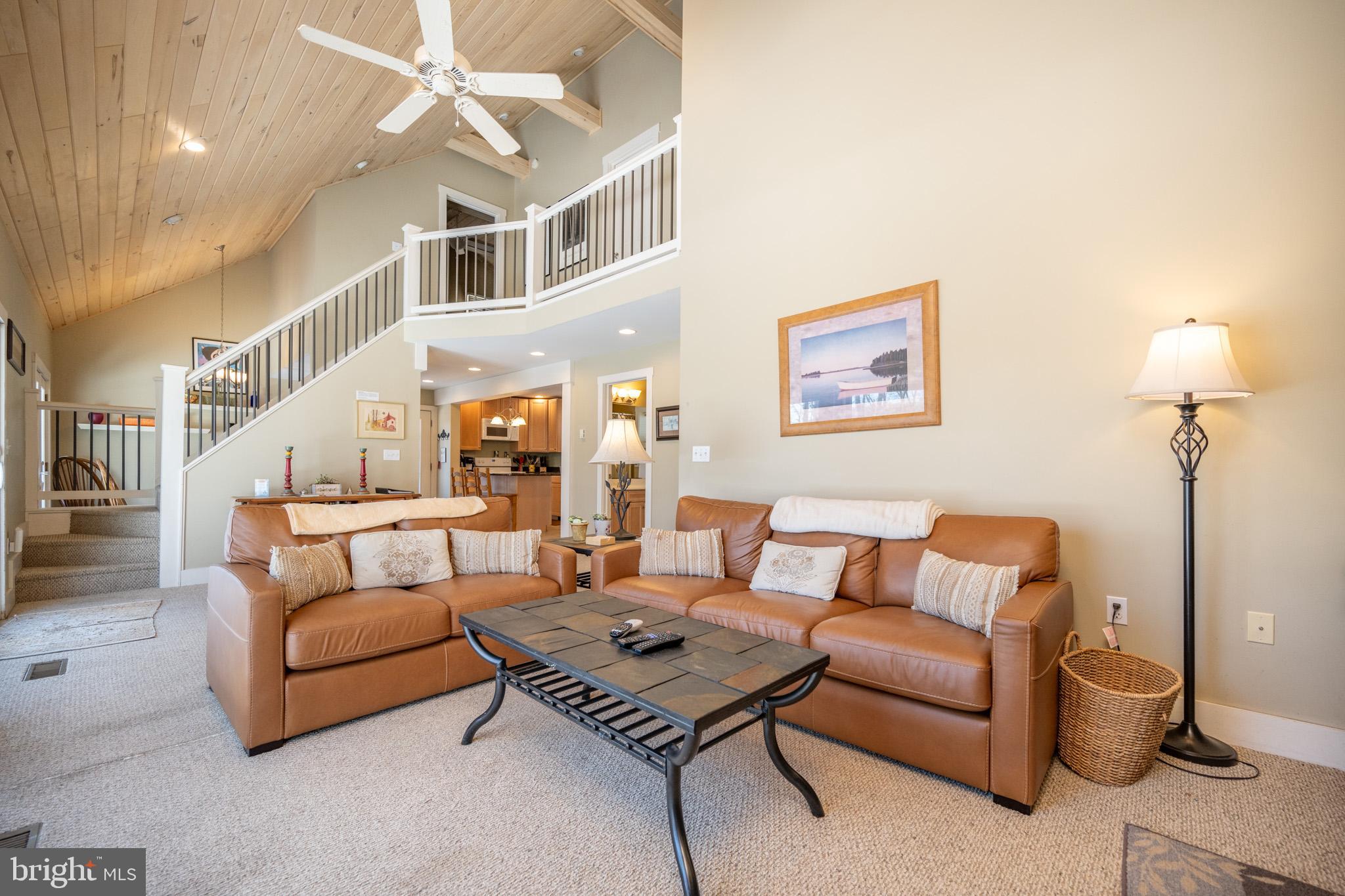 SHINGLE CAMP TERRACE - Residential