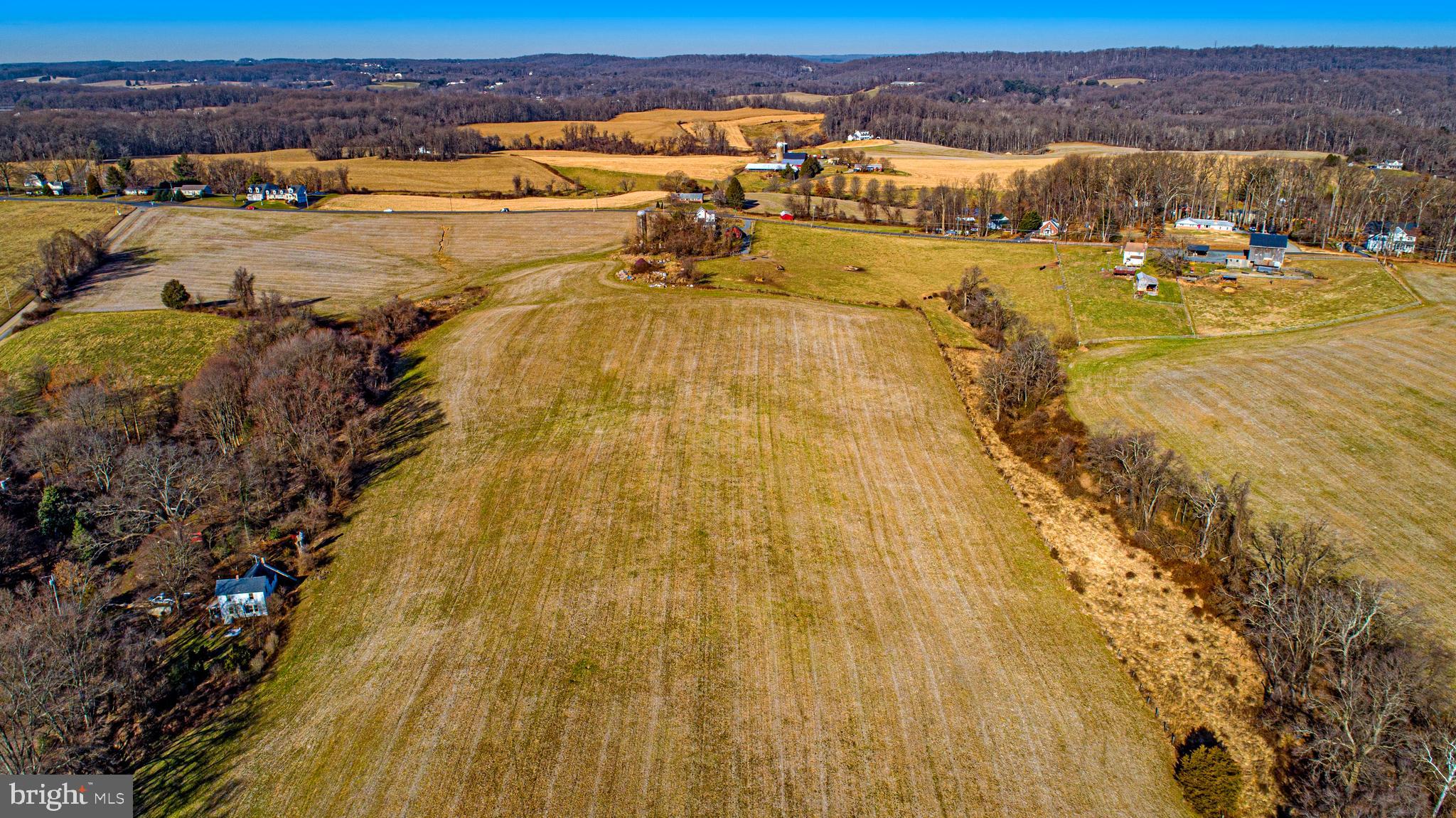 FOREST HILL - Farm
