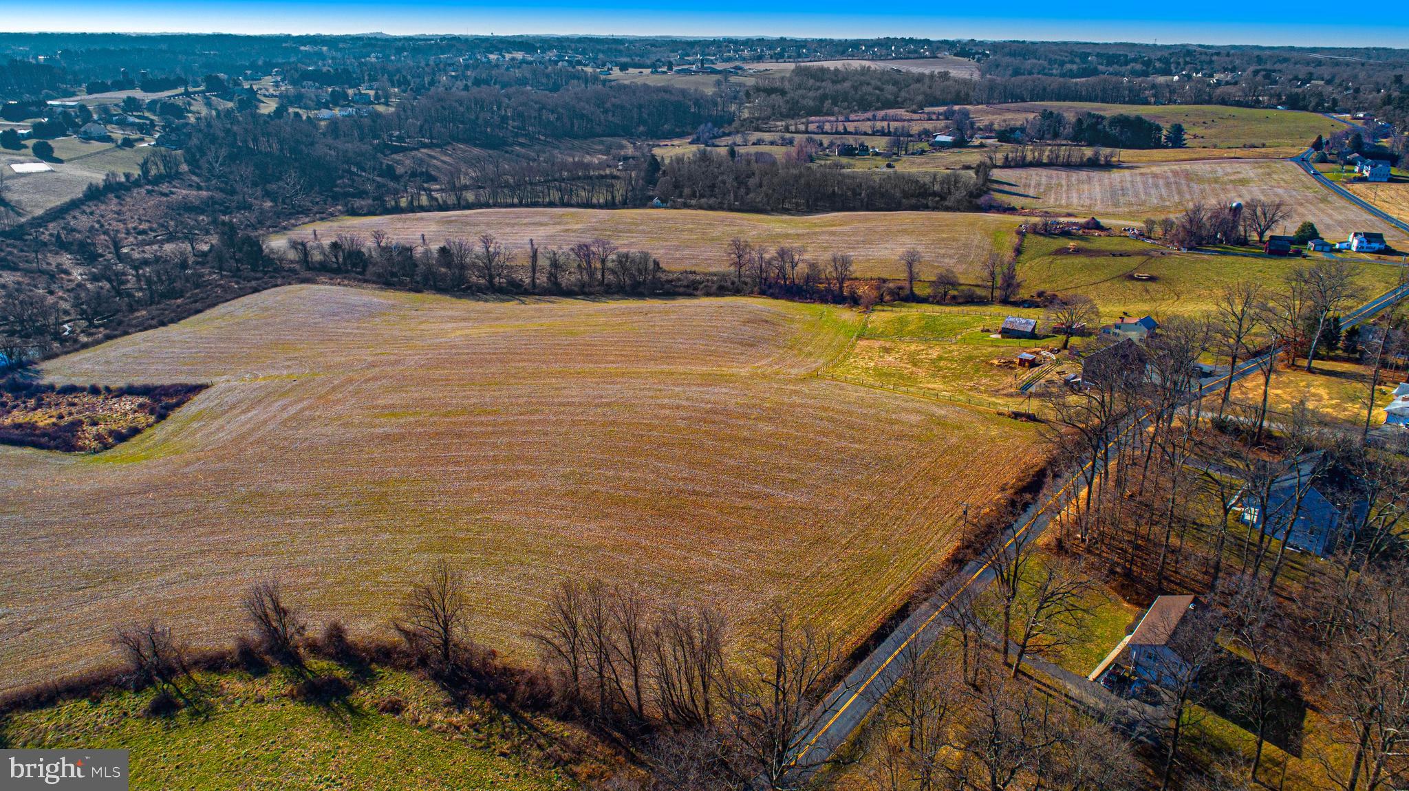 FOREST HILL - Farm