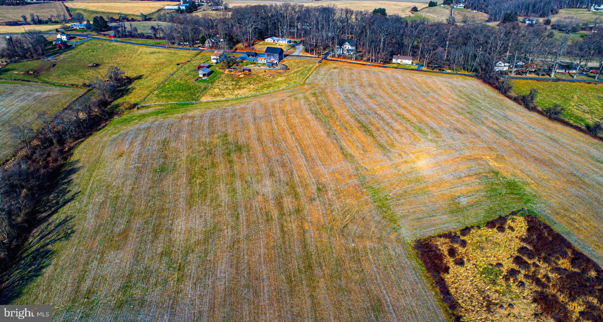 FOREST HILL - Farm