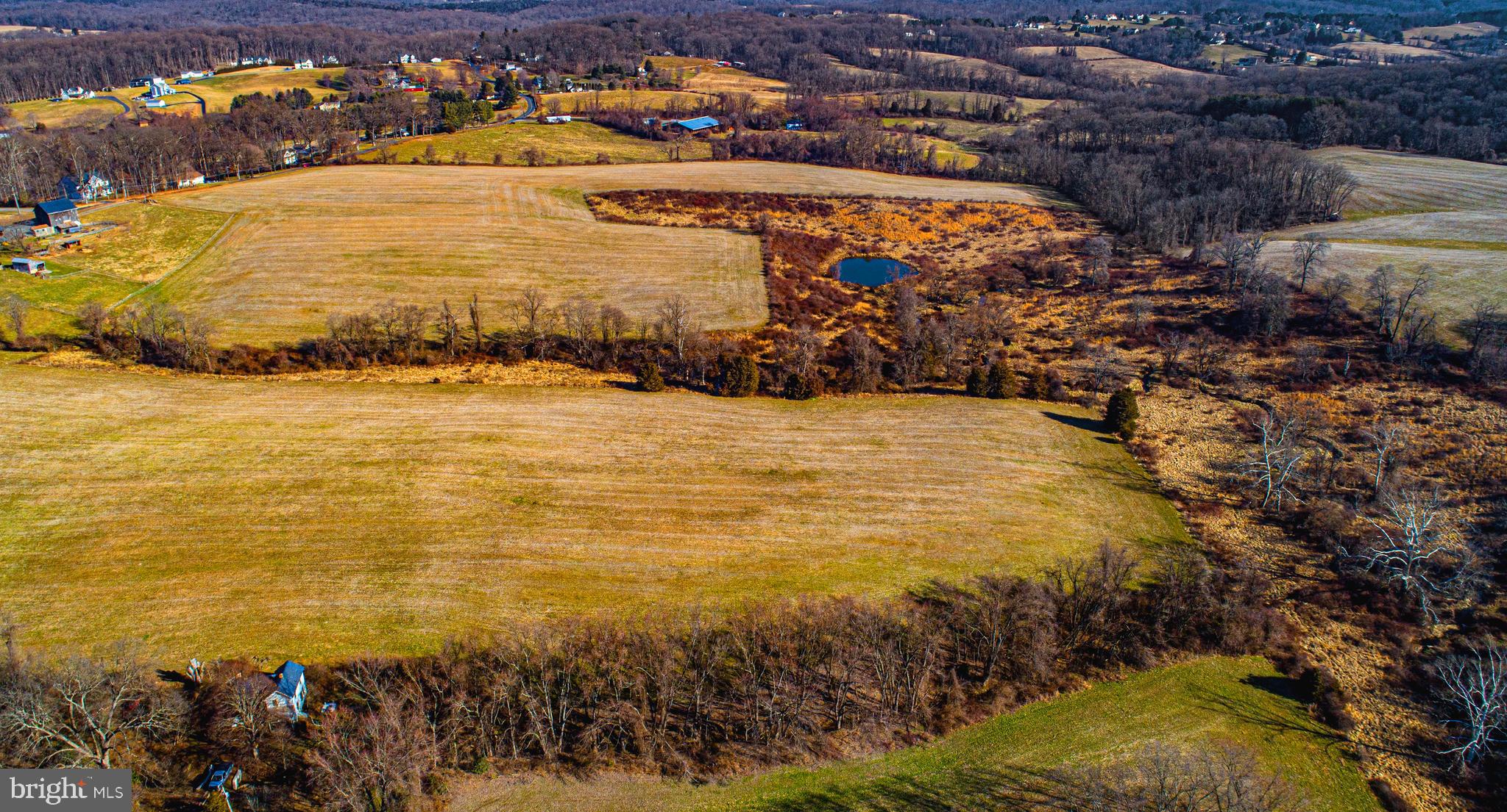 FOREST HILL - Farm