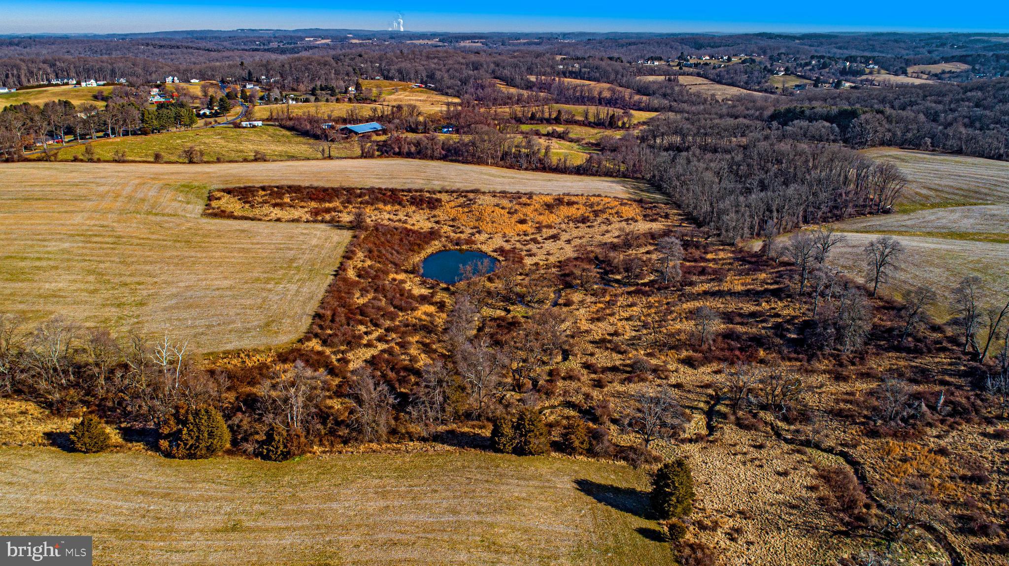FOREST HILL - Farm