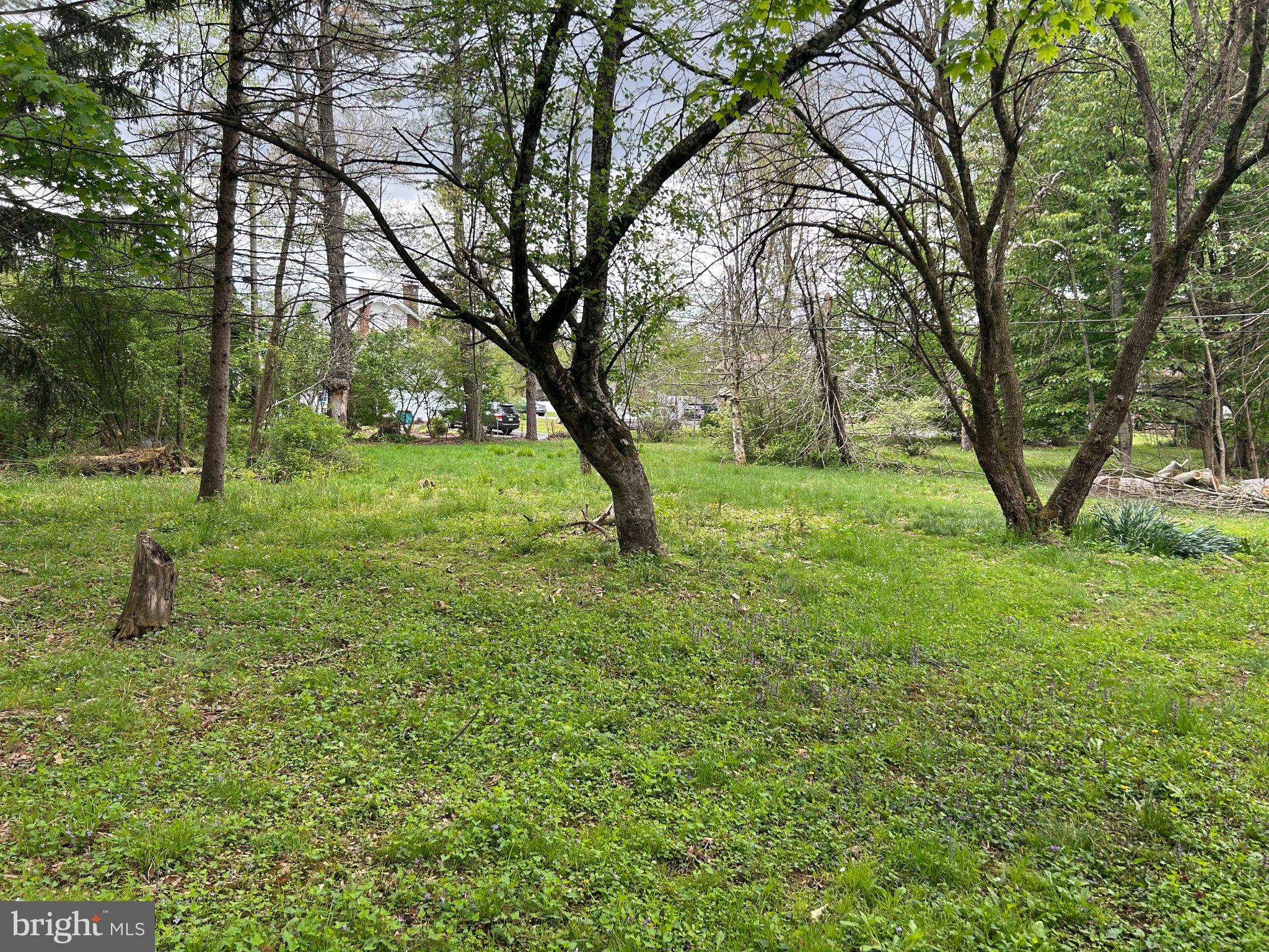 DEER LAKE - Residential