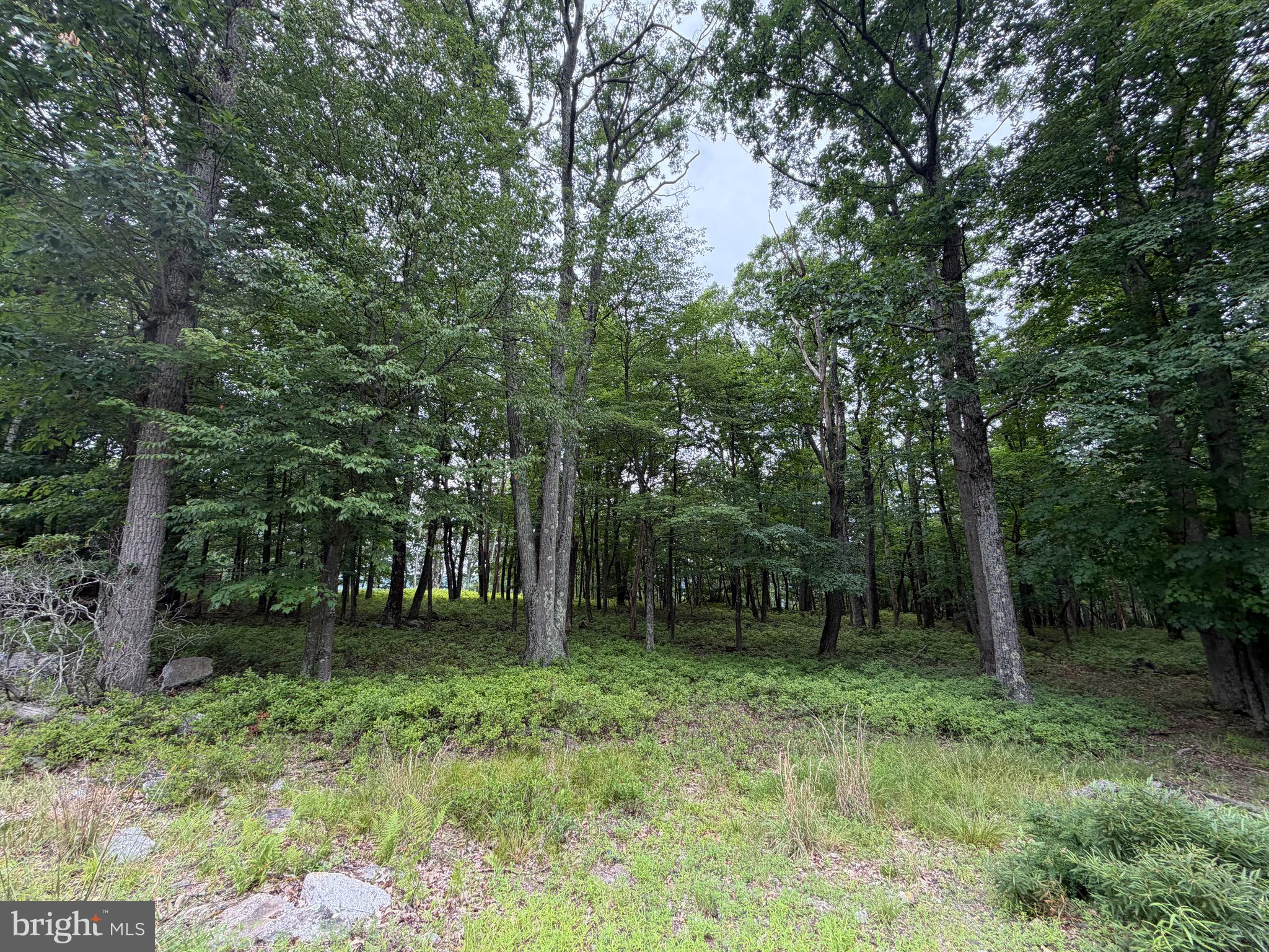 Location, Location, Location.  THIS is the COVE VILLAGE lot you've been waiting for.  1.1-acre level building lot at the edge of the community offers the possibility of clearing the rear of the lot to overlook the valley.  Situated in the foothills of the Poconos and only 1 1/2 hours to New York this could be where you build your getaway or your forever home.  With easy access to I-81 your commute to Hazleton, Wilkes Barre, or Scranton is a breeze.  Bring your own builder and let's make your dreams come true.   Your building costs are lower here since public water and sewer are already in place ready for you to connect through Aqua of Pa.  Do you desire a cabin or home where you can hunt, fish, ATV, snowmobile, and more?  How does approximately 750 acres of unoccupied prime hunting, ATV, and snowmobile riding land, sound to you?  Yes, that's right!  Adjoining the residential portion of Cove Village is just that for residents of the community and their guests!  Driving through the community, the peace and tranquility will envelop you.  The homes vary from rustic cabins, chalets, traditional ranch, two-story homes, exquisite new construction, and even dreamy mountain log homes.  There really is something for everyone.  The approximately 278 acres of residential homes and lots are occupied by full-time residents, part-time vacation homes, and even some snowbird second homes.  Cove Village is located in the mountains of Northeastern Pennsylvania and offers an abundance of amenities including a swimming pool, stocked fishing lake, a basketball court, tennis courts, a volleyball court, 2 playgrounds, a baseball field, ATV paths, hunting, a mini golf course, walking paths, and year-round Community events.  I can't forget to mention the beautiful lodge ideal to rent for family gatherings.   This lot and community just might be exactly what you've been looking for.  Air B and B are not permitted. Camping on vacant lots is not permitted.  Mobile homes are not permitted.  The minimum square footage when building is 1400 square feet.  The community maintains the roads and snow removal.  Trash collection is also provided.   An appointment is required to view due to the gated community.  Call to schedule your tour today!