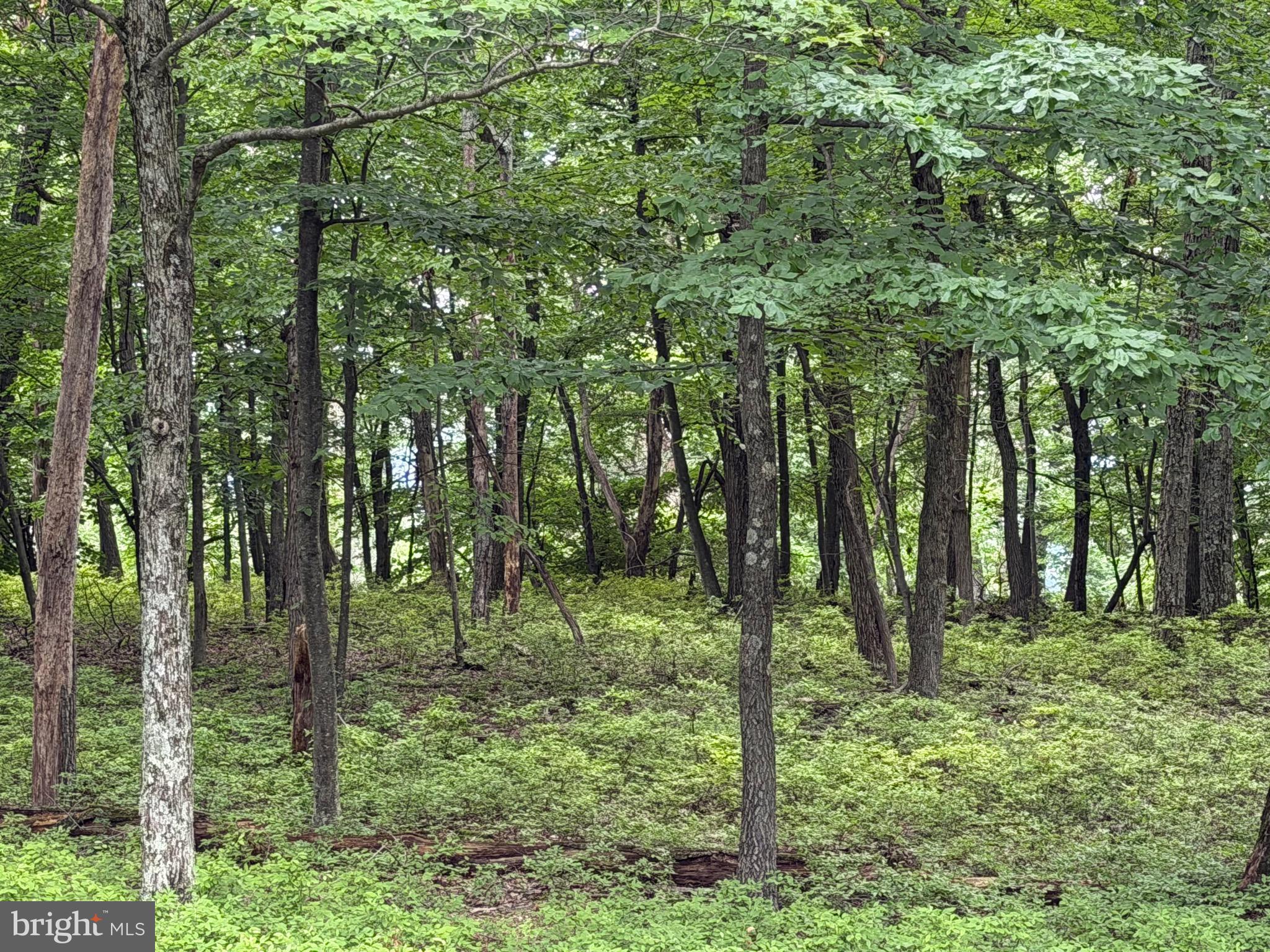 COVE VILLAGE - Land