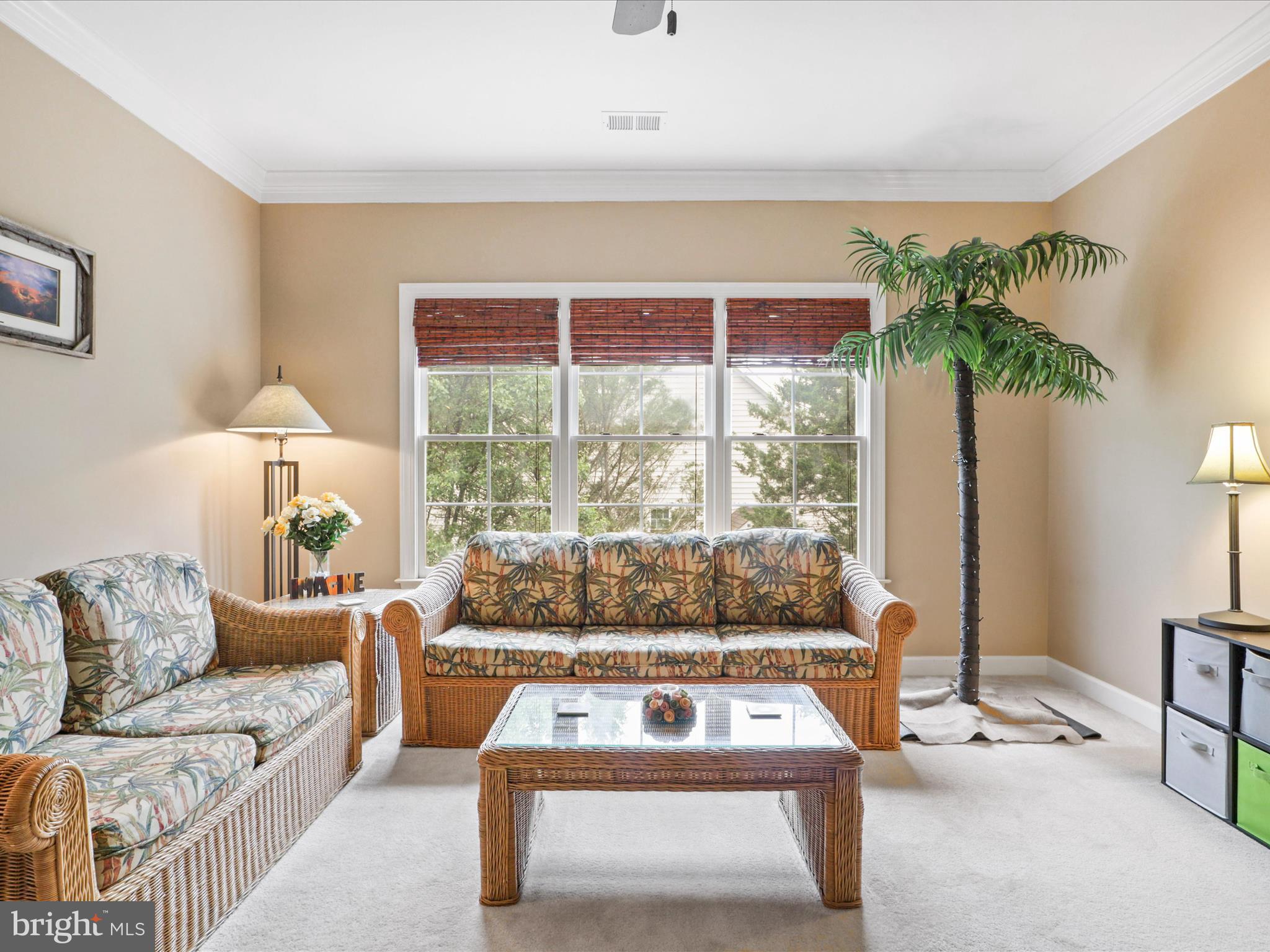 POPLAR TREE - Residential