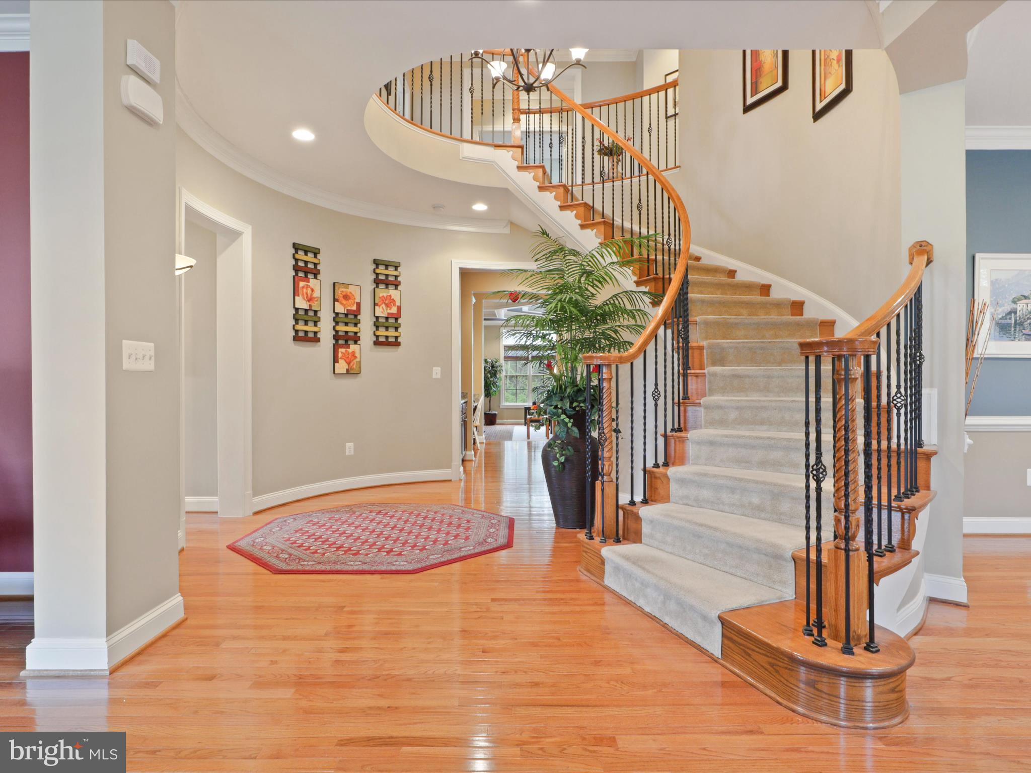 POPLAR TREE - Residential