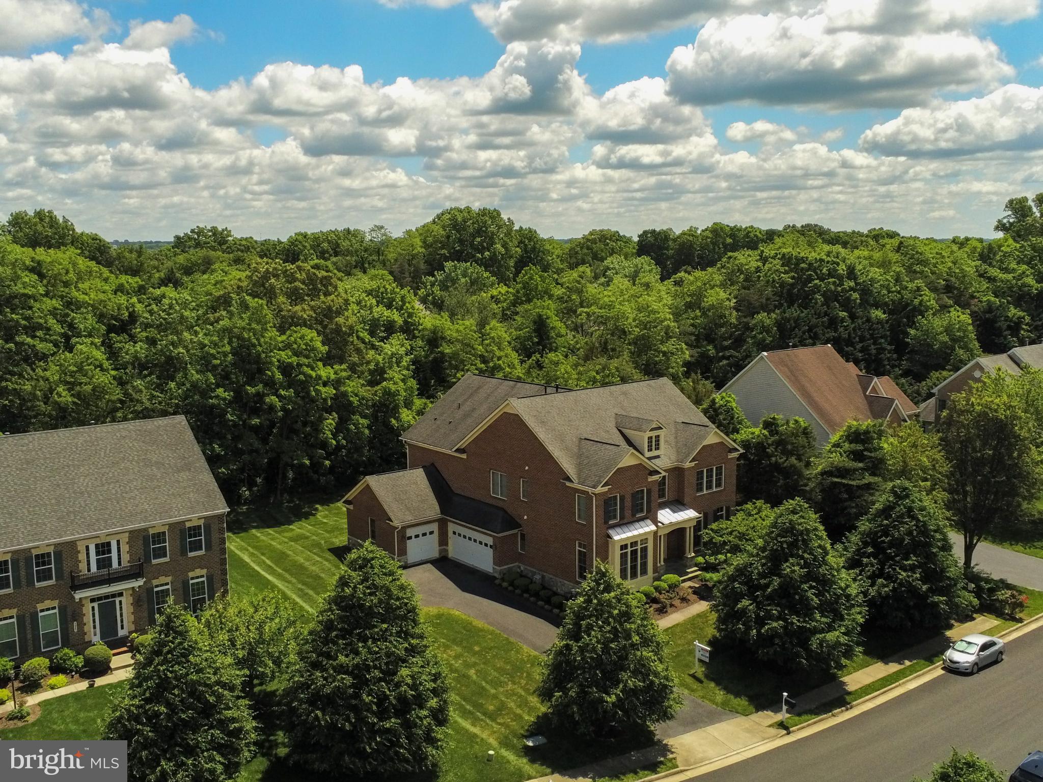 POPLAR TREE - Residential