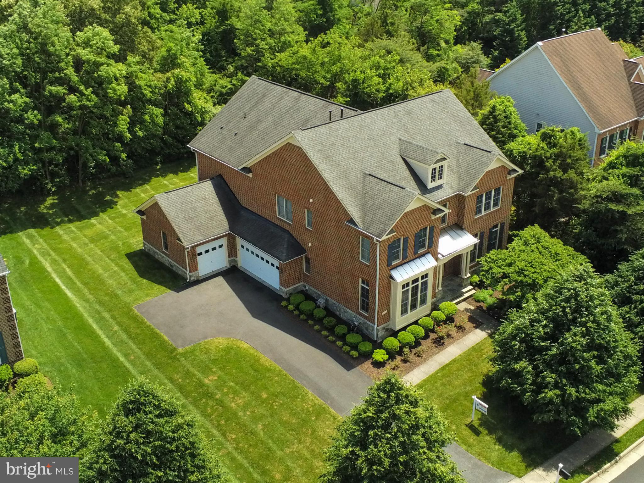 POPLAR TREE - Residential