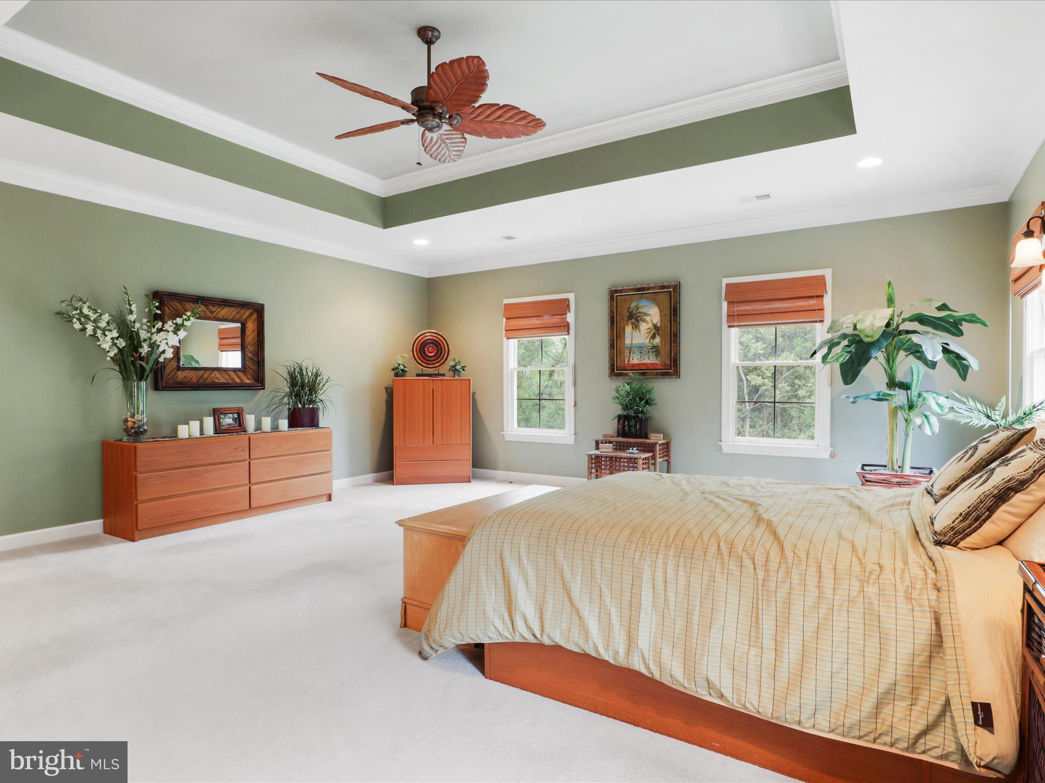 POPLAR TREE - Residential