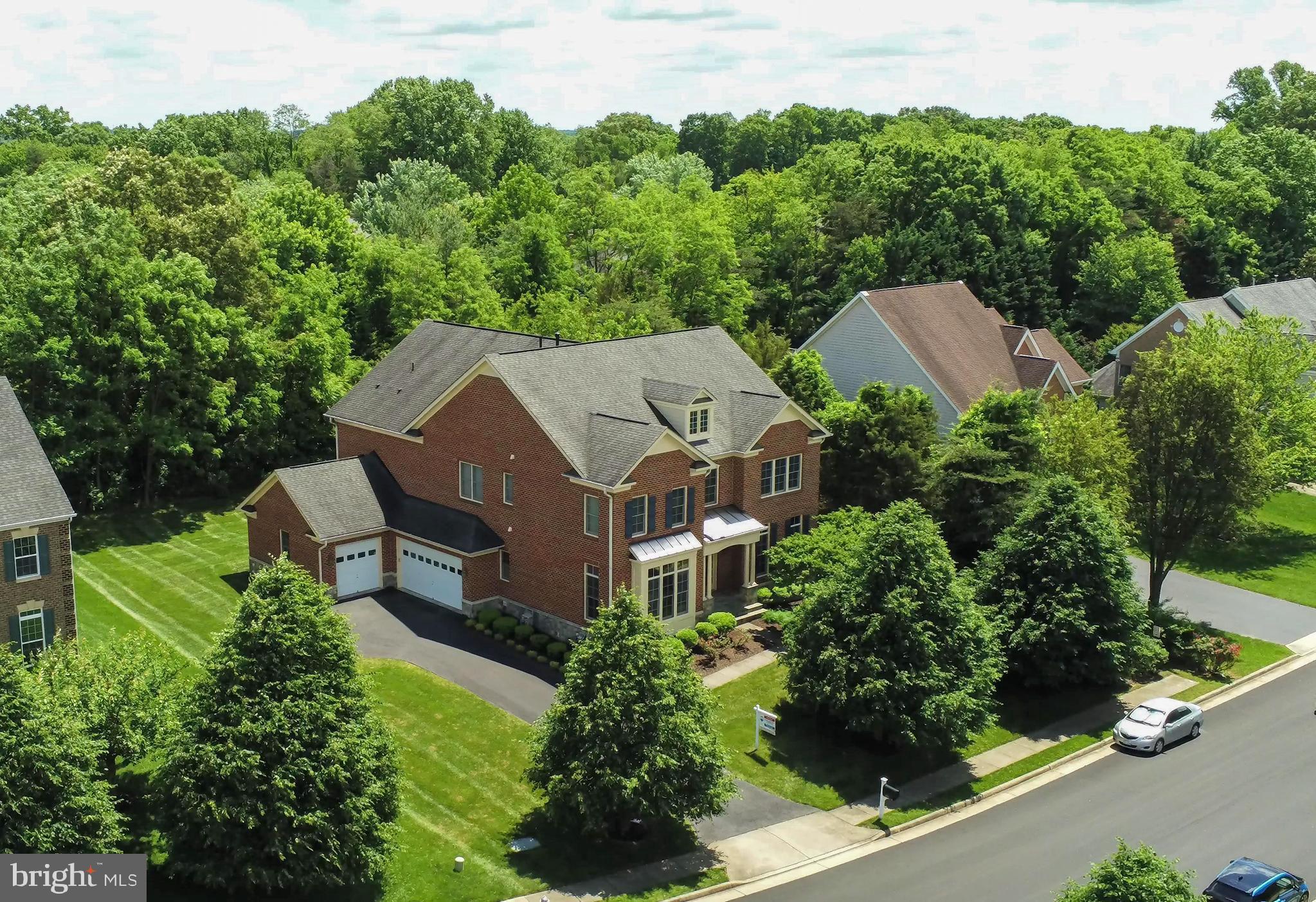 POPLAR TREE - Residential