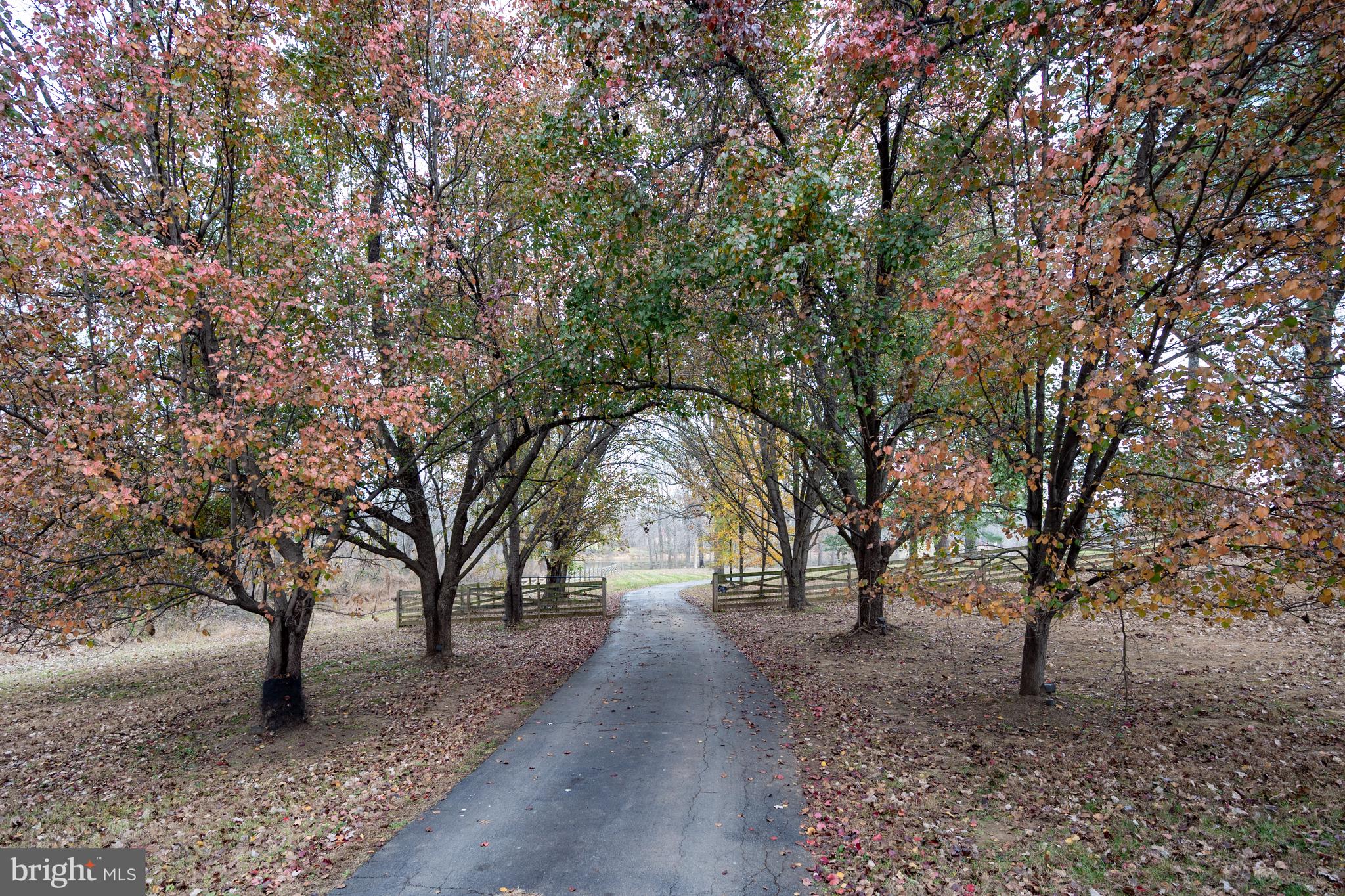 LAKE MARIAN ESTATES - Residential